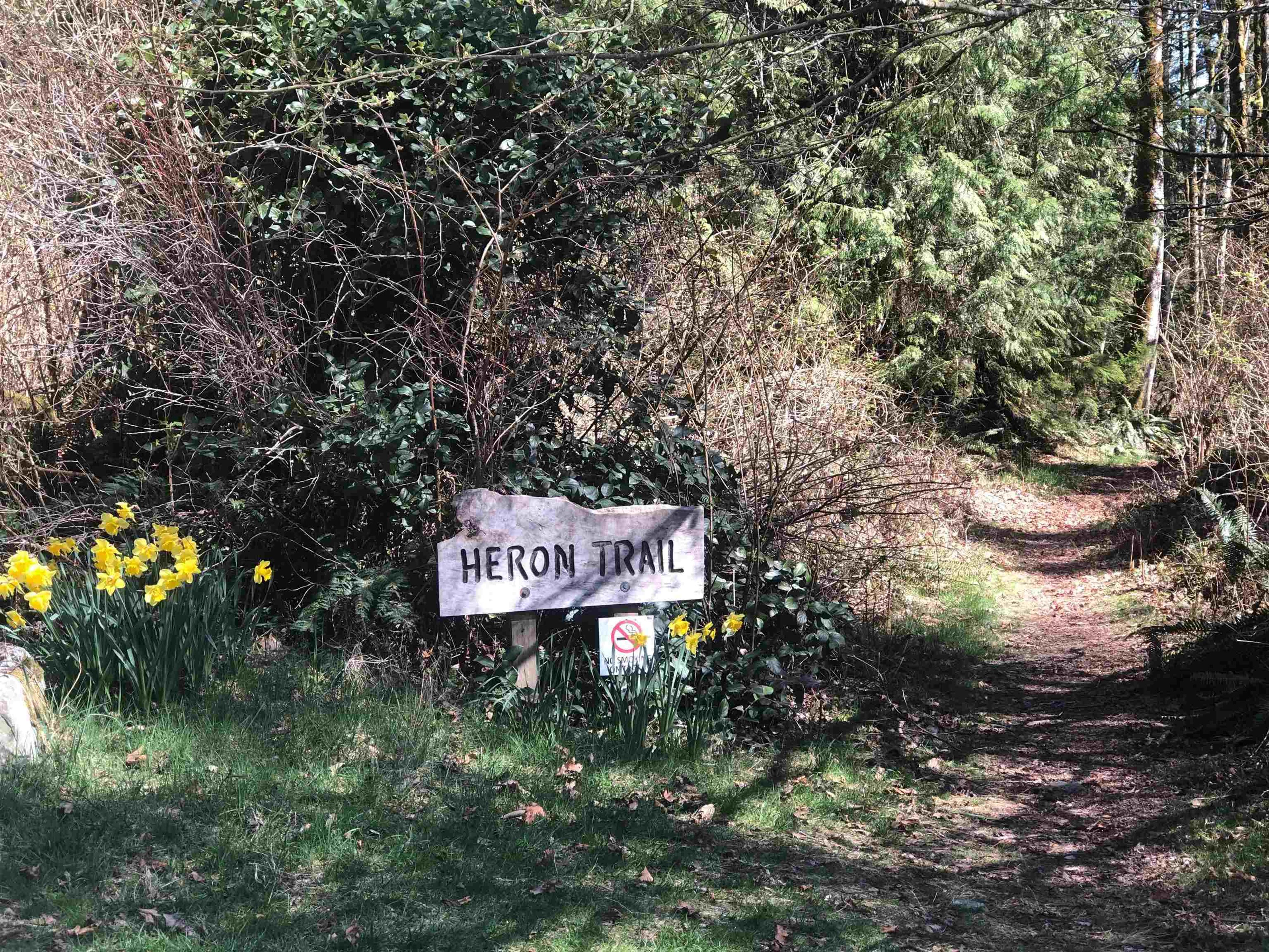 815 THE GROVE ROAD - 30