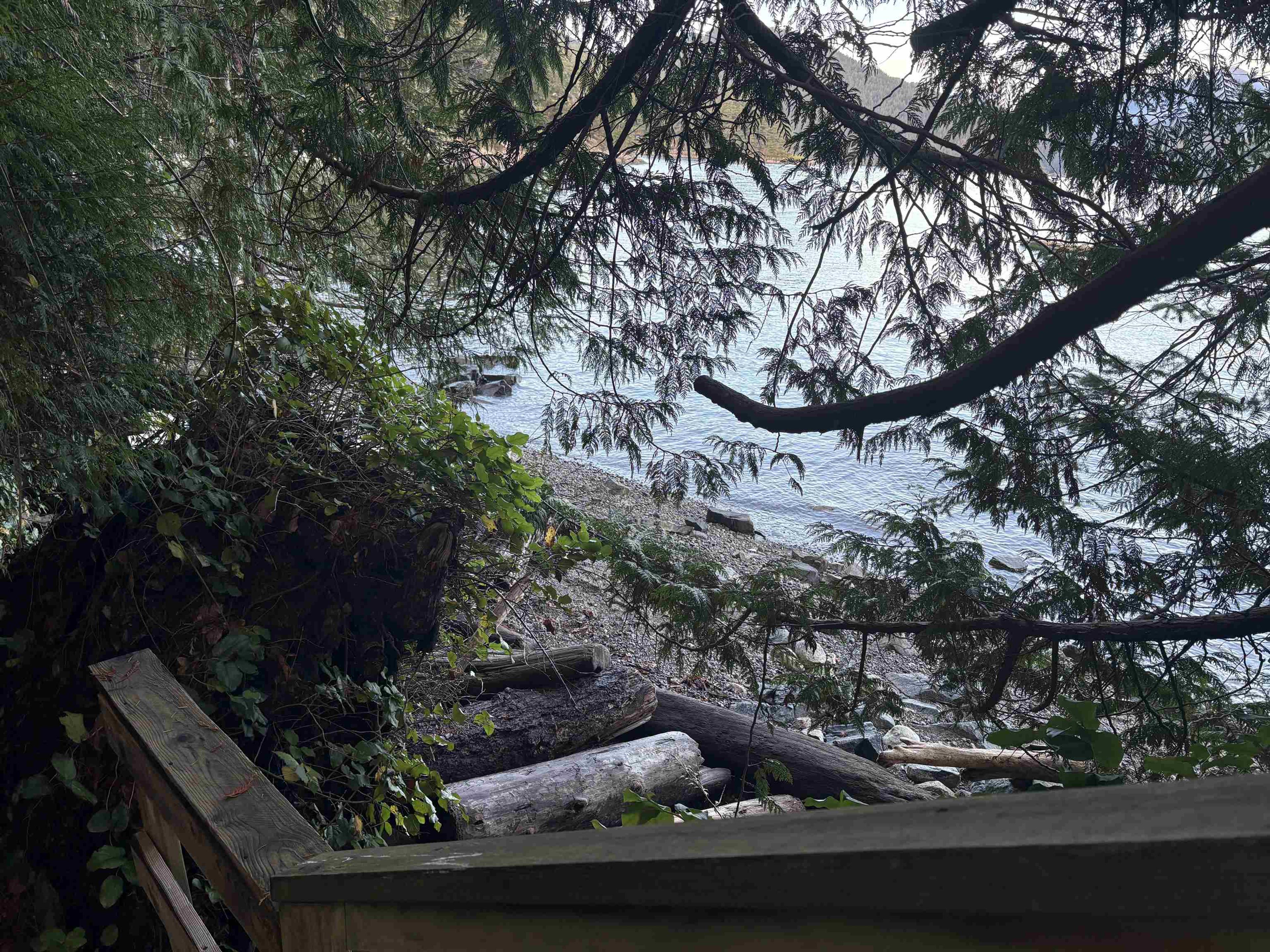 815 THE GROVE ROAD - 34