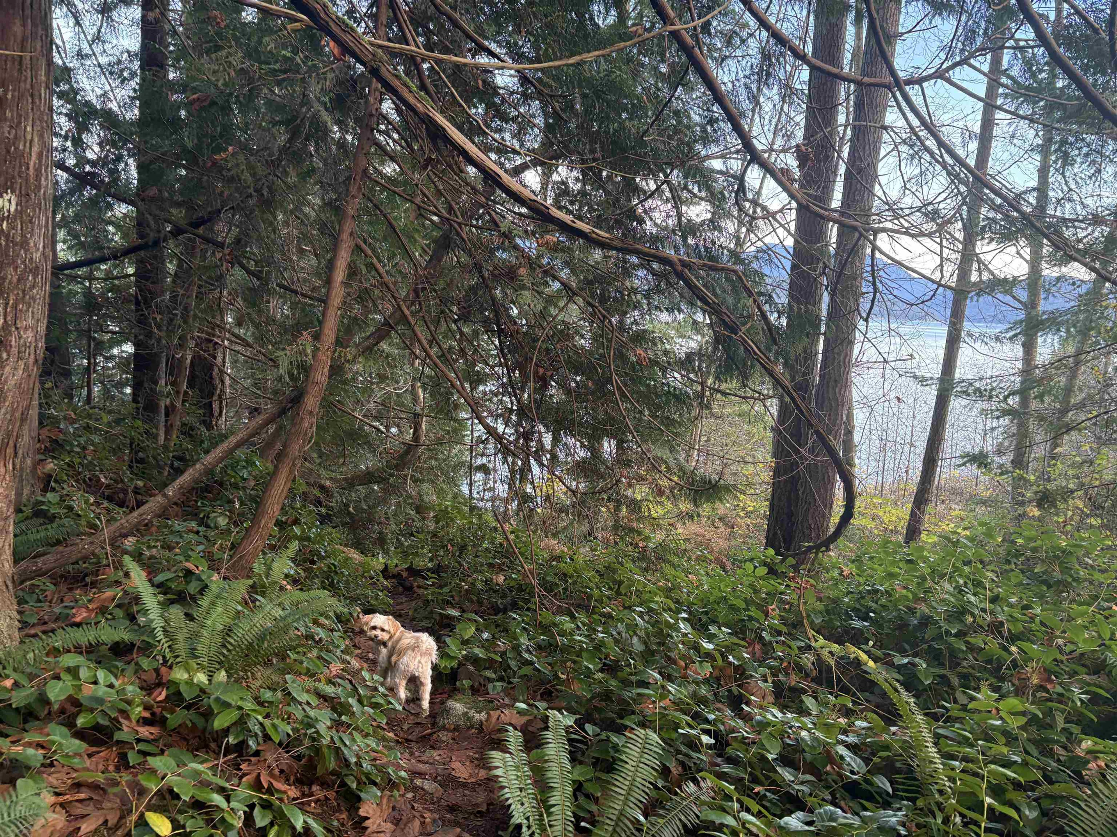 815 THE GROVE ROAD - 33