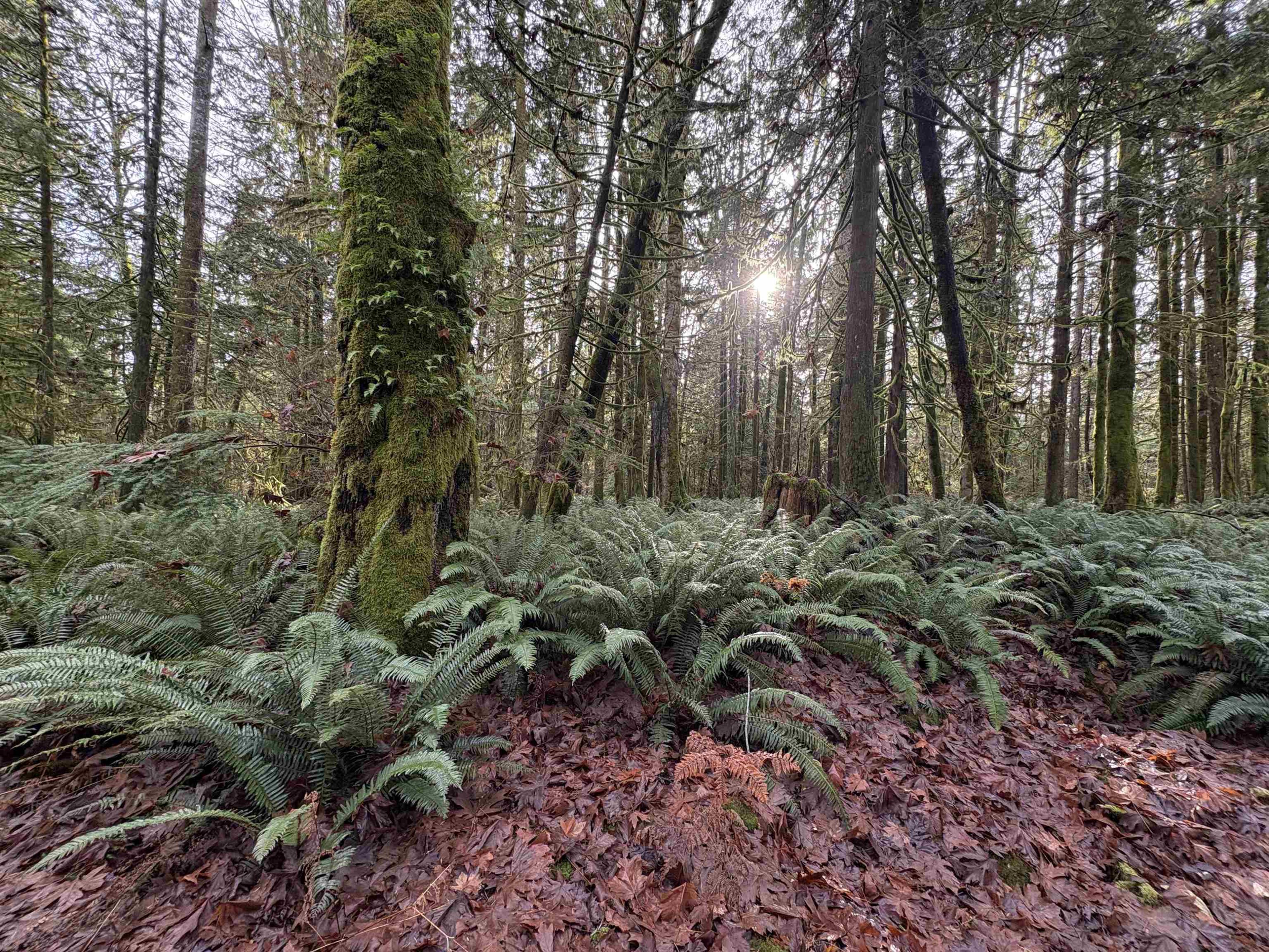 815 THE GROVE ROAD - 18