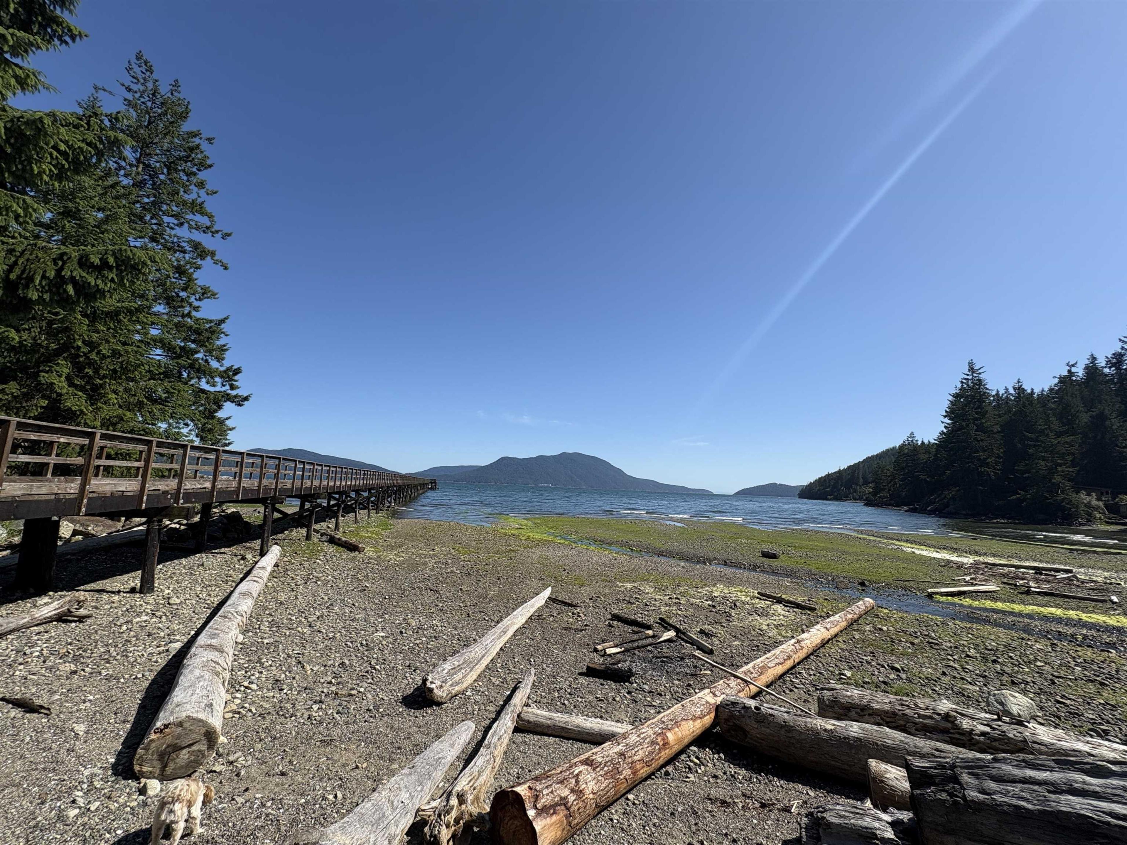 815 THE GROVE ROAD - 37