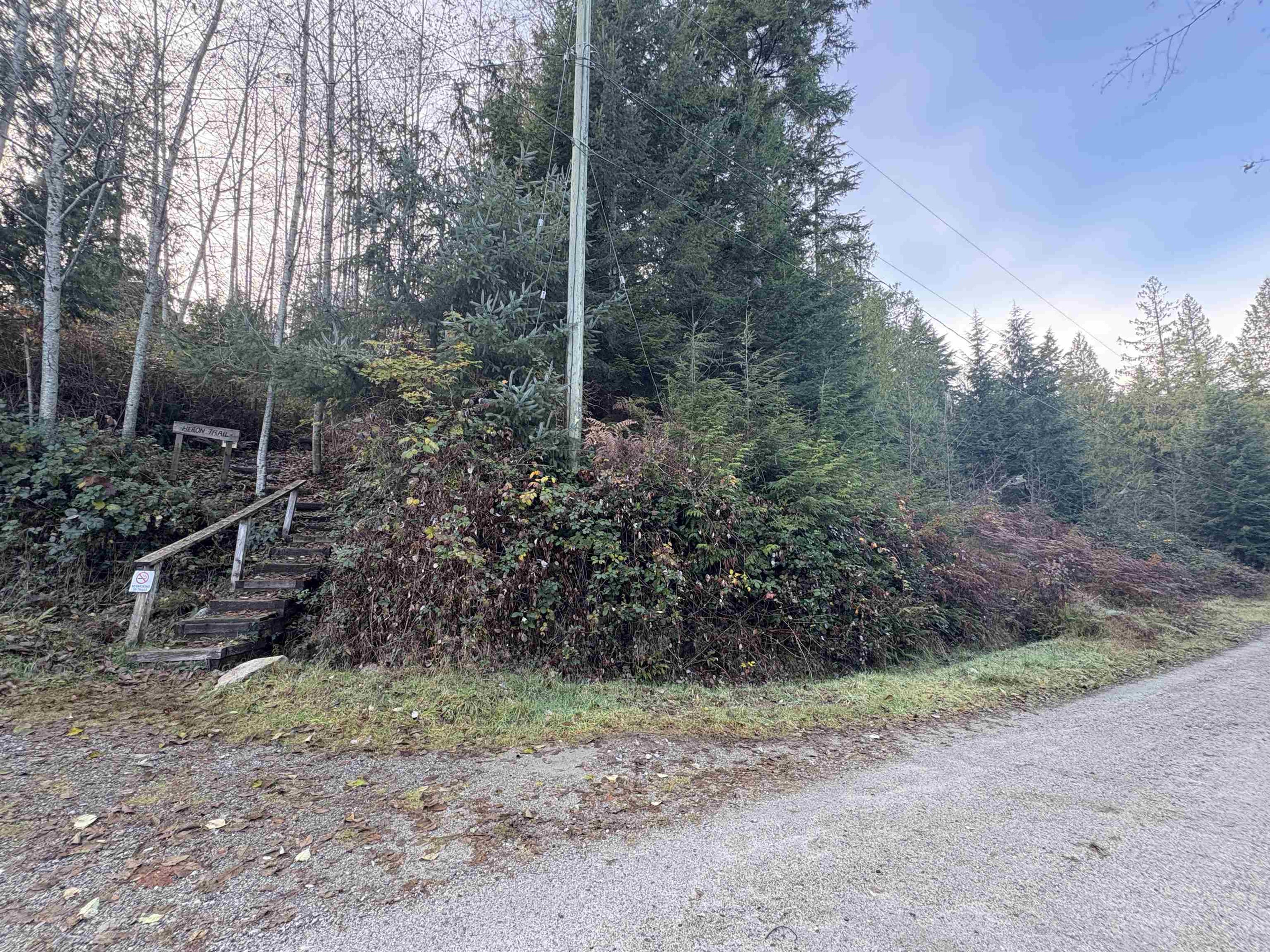 815 THE GROVE ROAD - 31