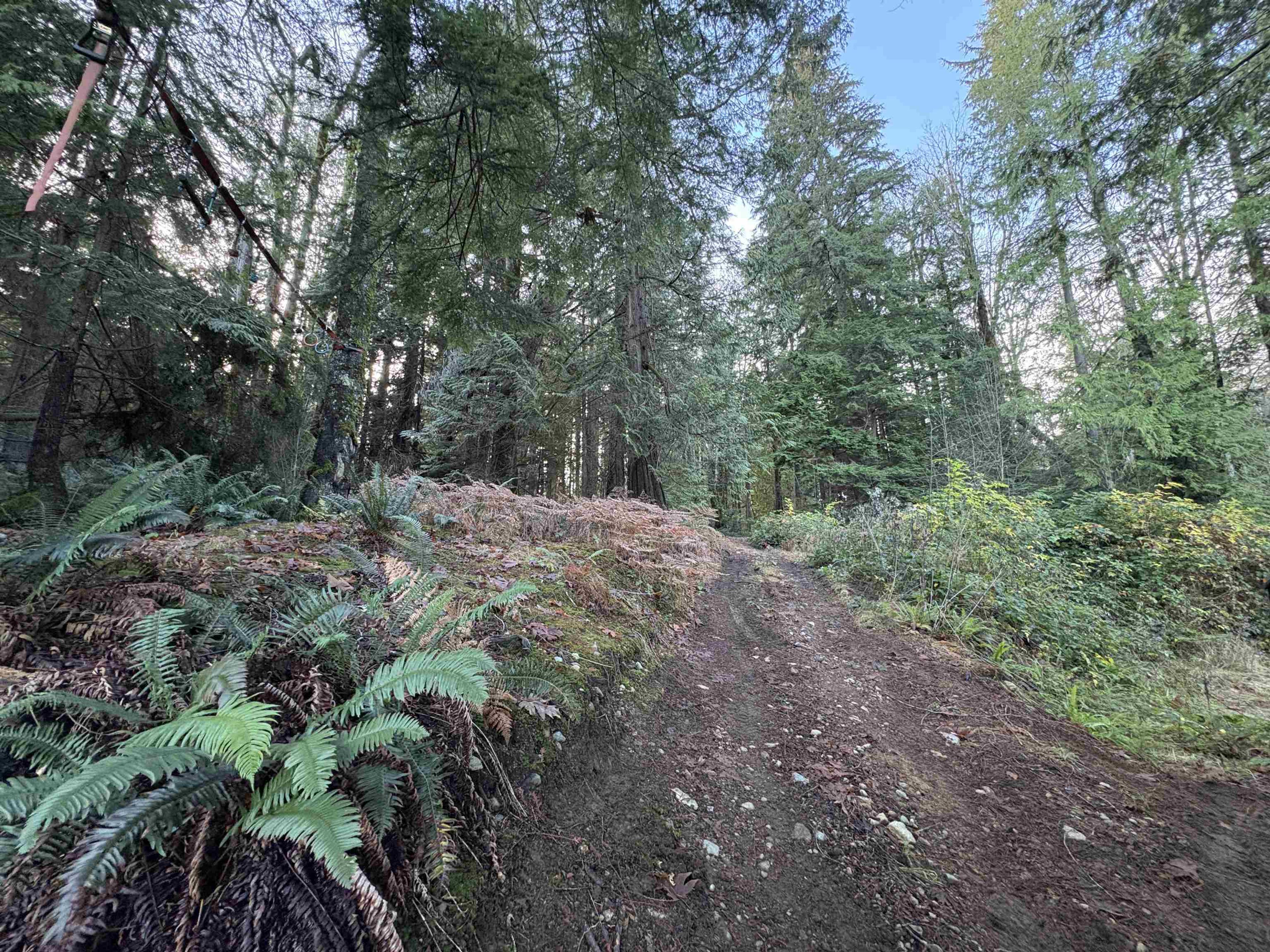 815 THE GROVE ROAD - 25