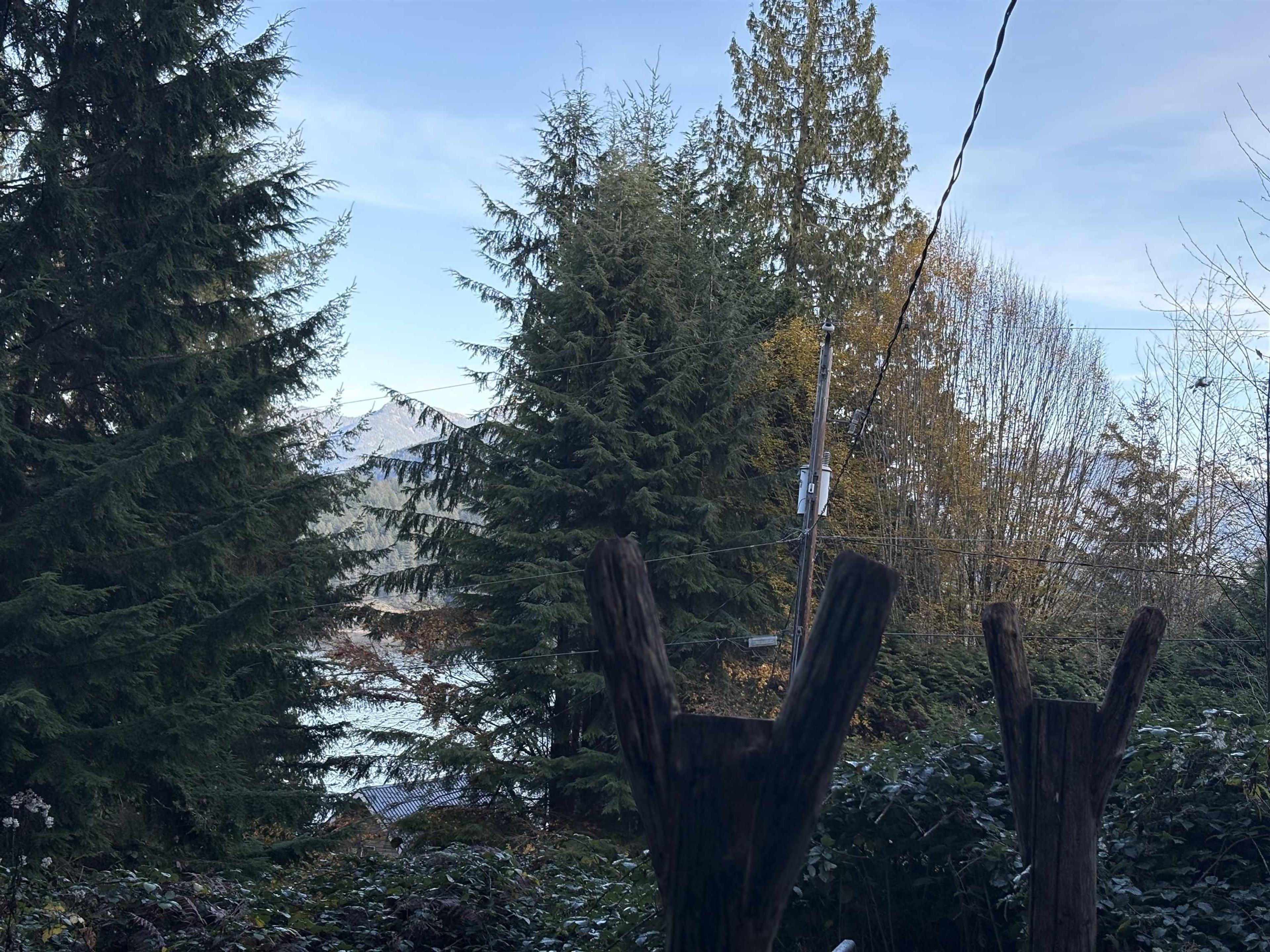 815 THE GROVE ROAD - 21