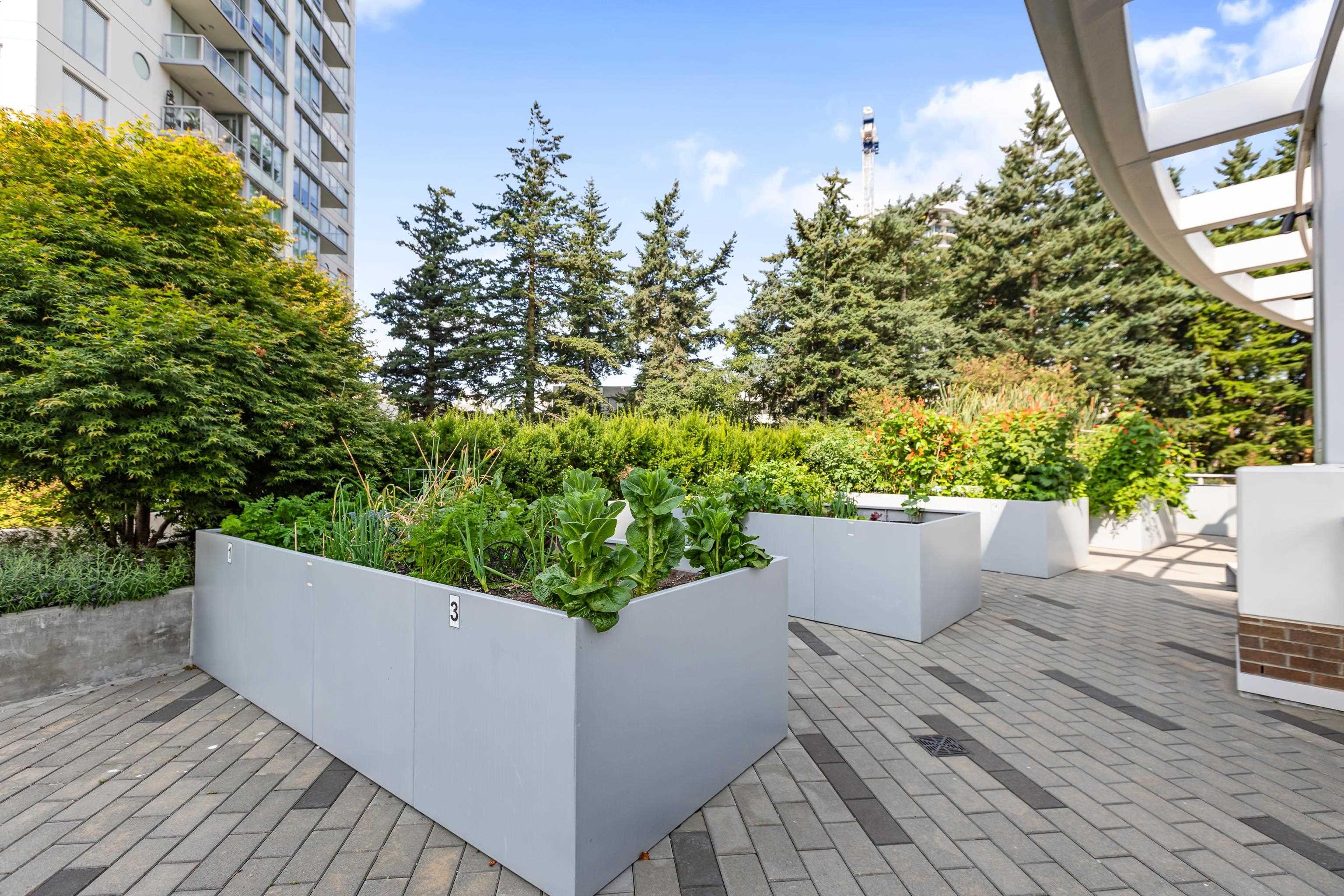 #601 1441 JOHNSTON ROAD - 34