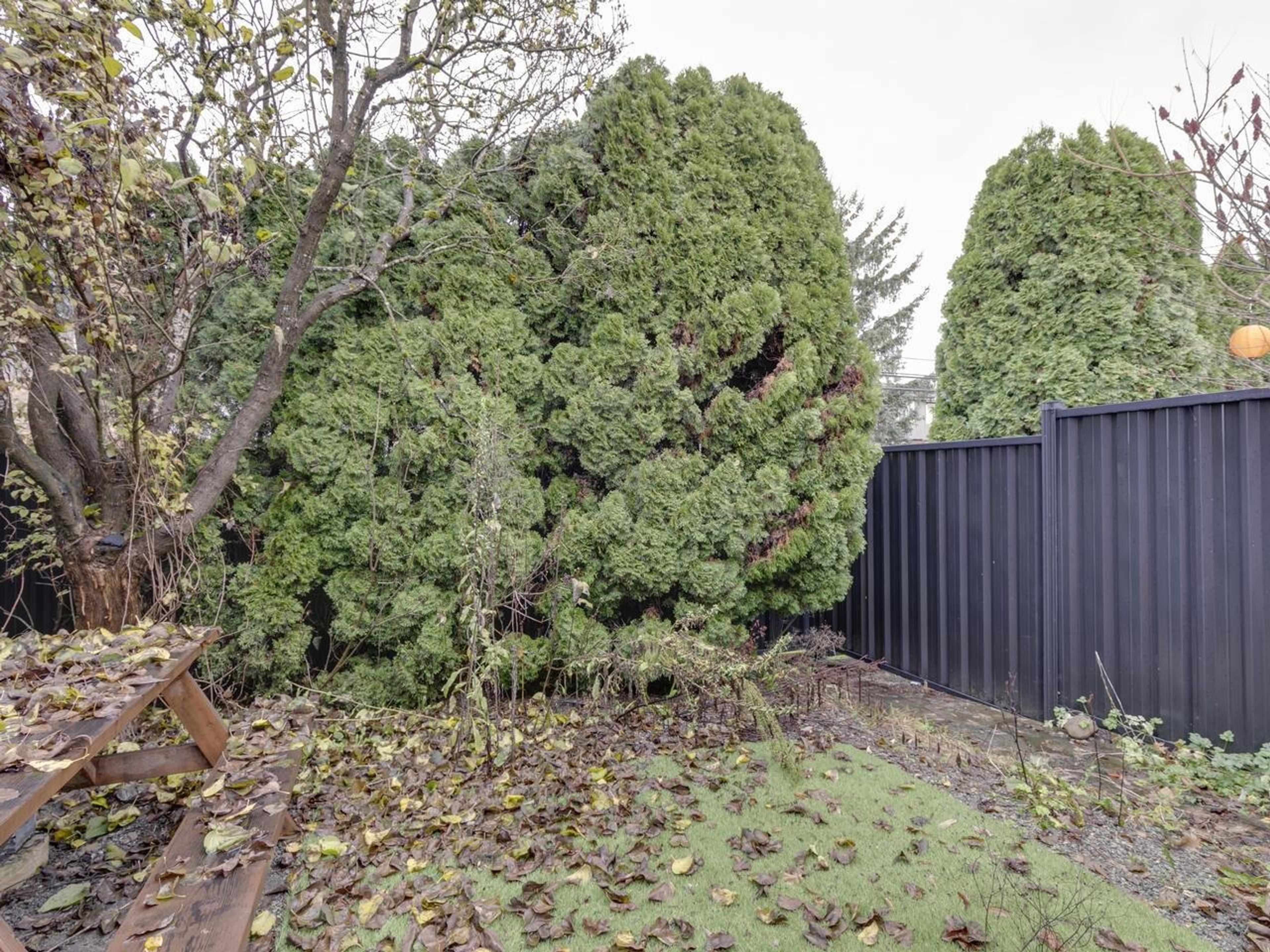 #29 1500 JUDD ROAD - 24