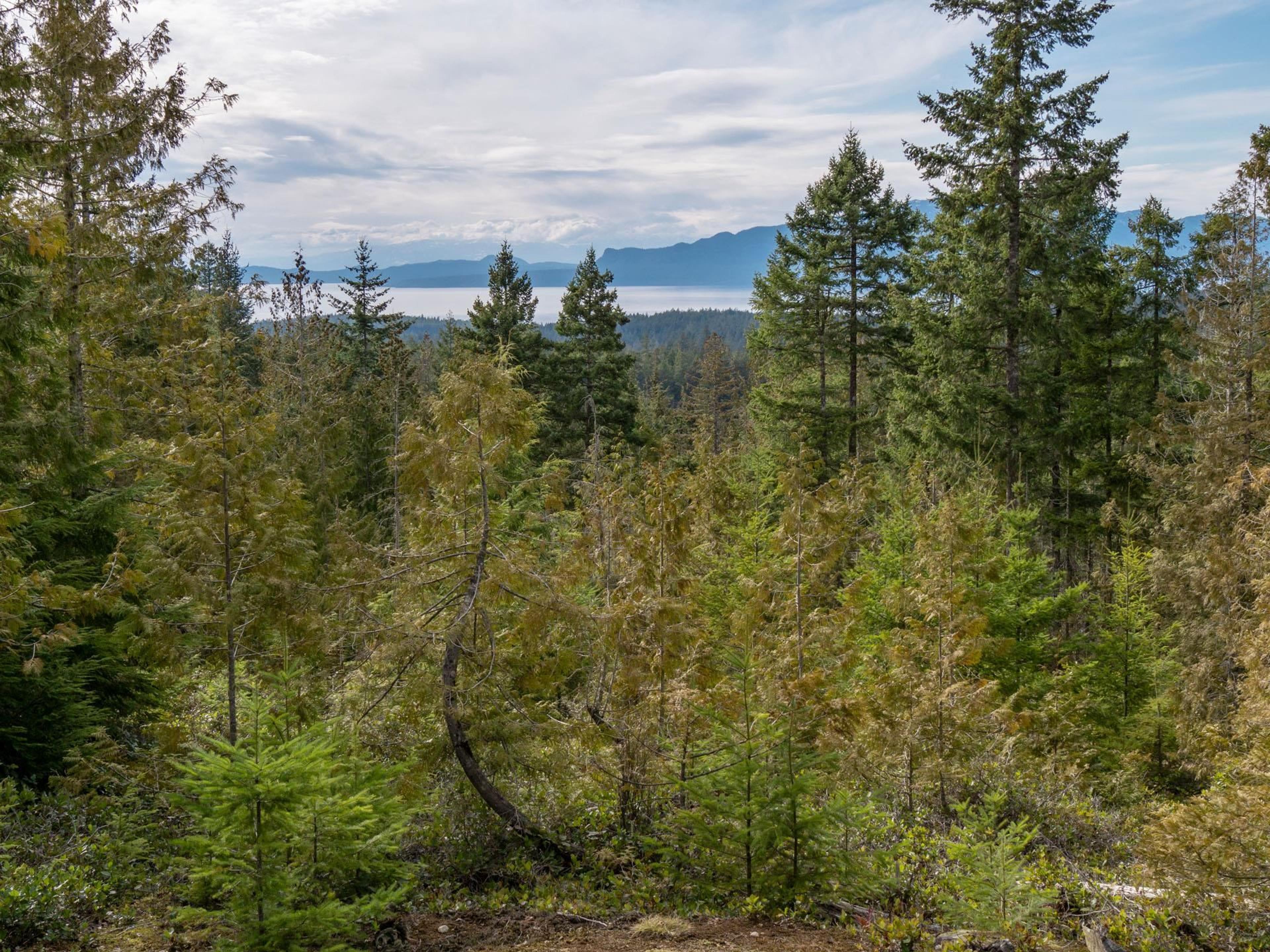 9305 STEPHENS WAY - 26