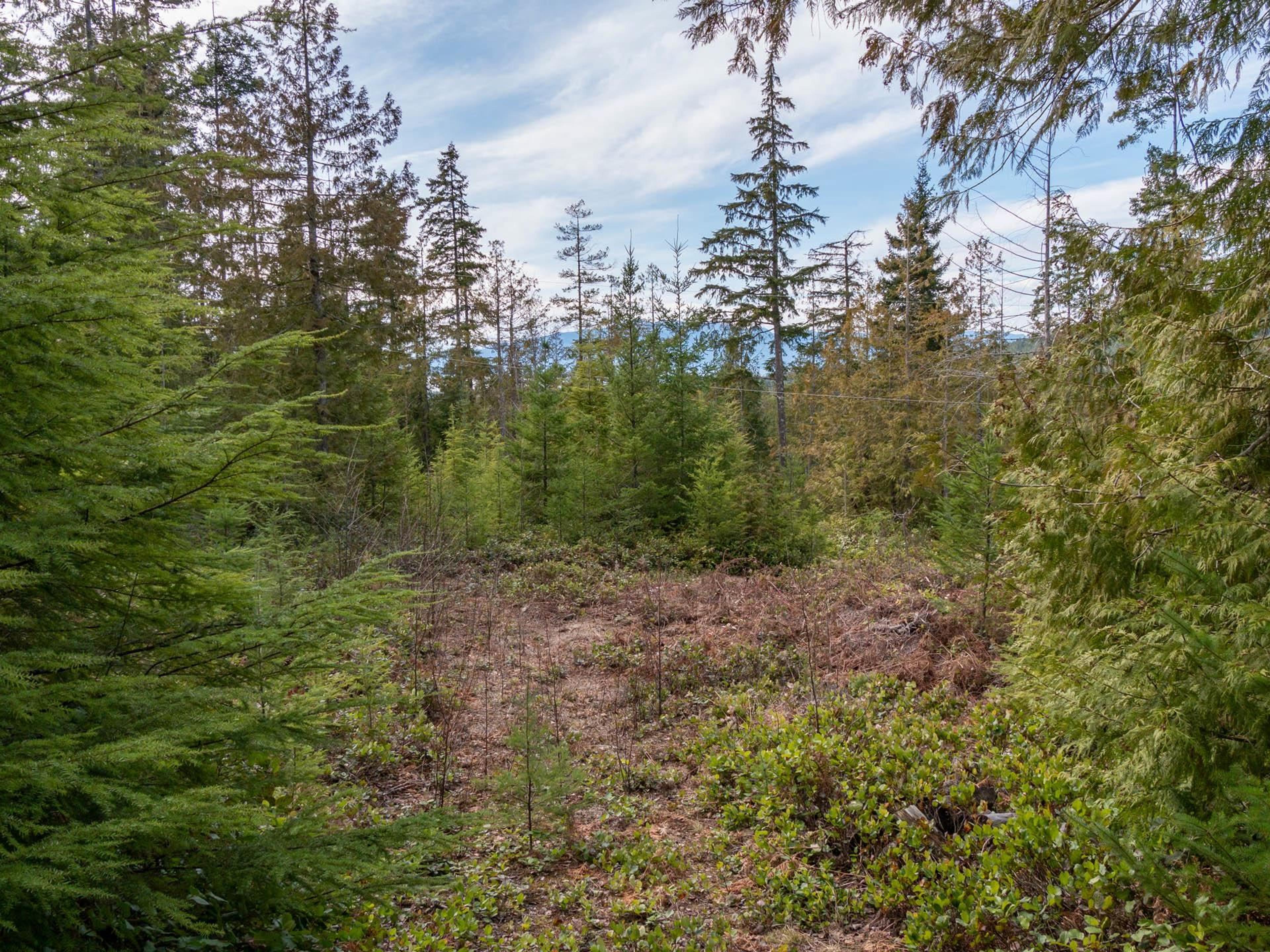 9305 STEPHENS WAY - 32