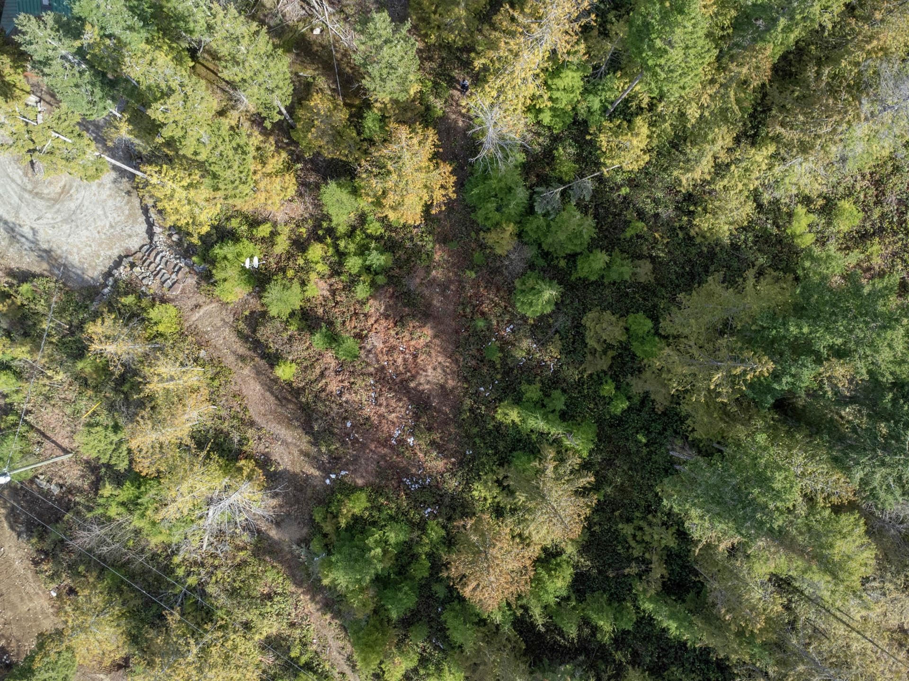 9305 STEPHENS WAY - 31