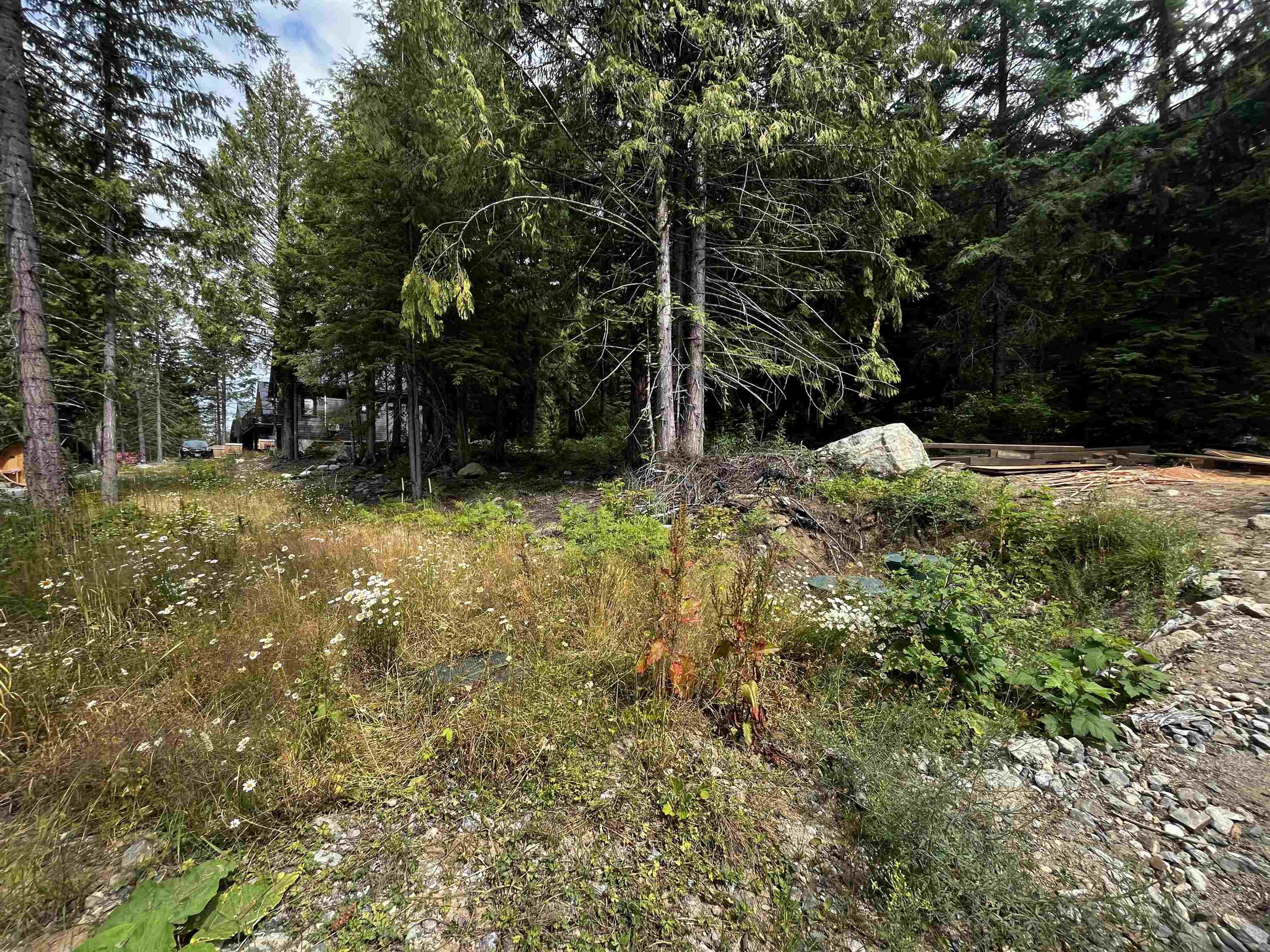 HG136 OLD HOPE PRINCETON HIGHWAY - 10