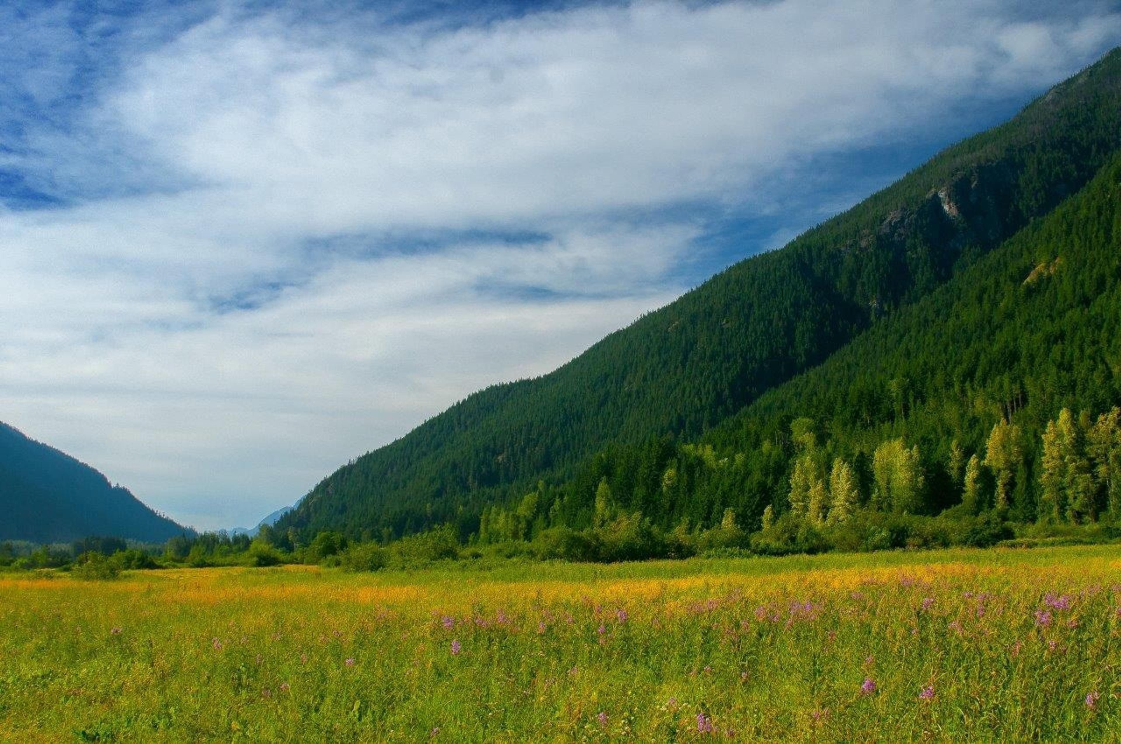 HG136 OLD HOPE PRINCETON HIGHWAY - 31