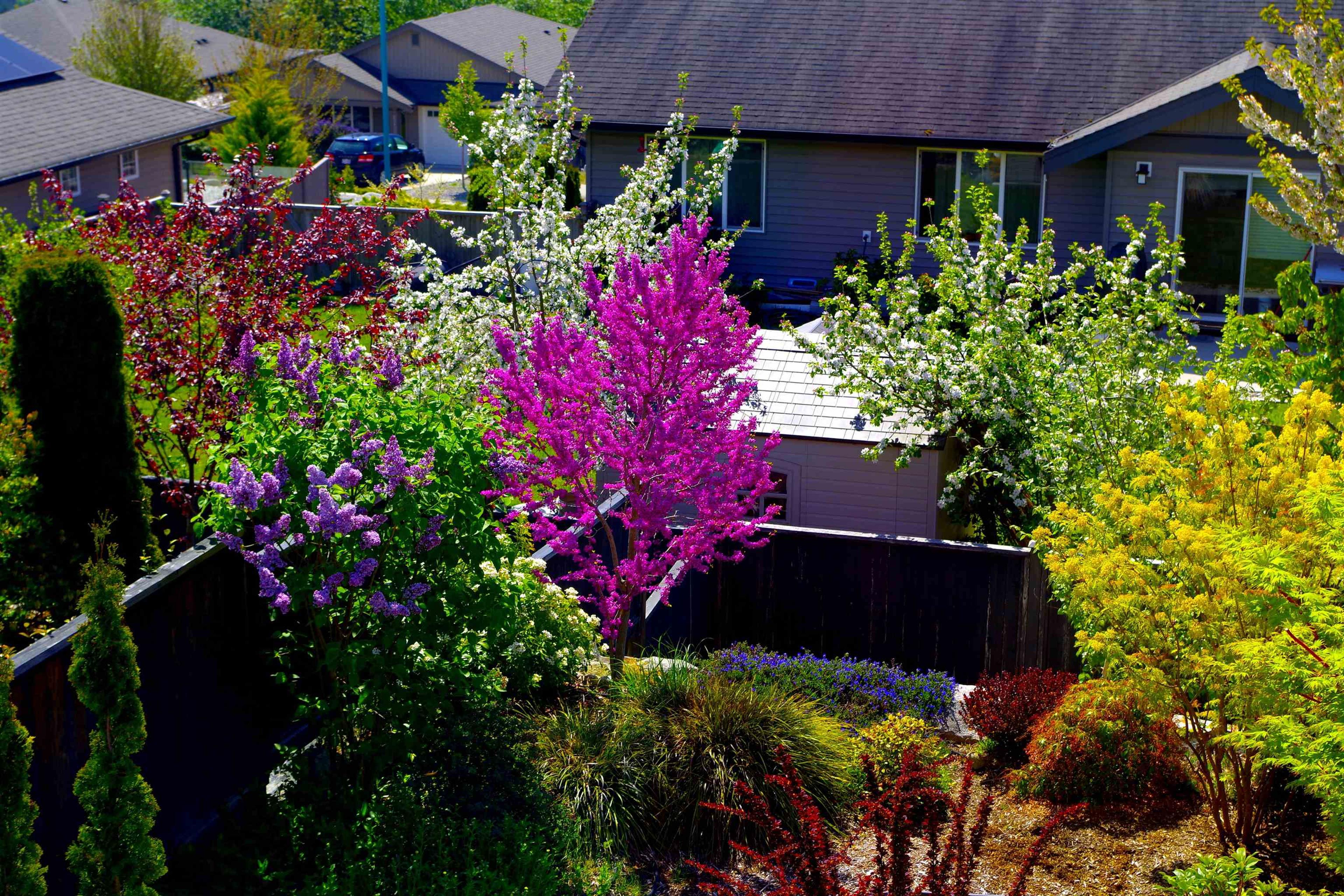 6263 APOLLO ROAD - 38