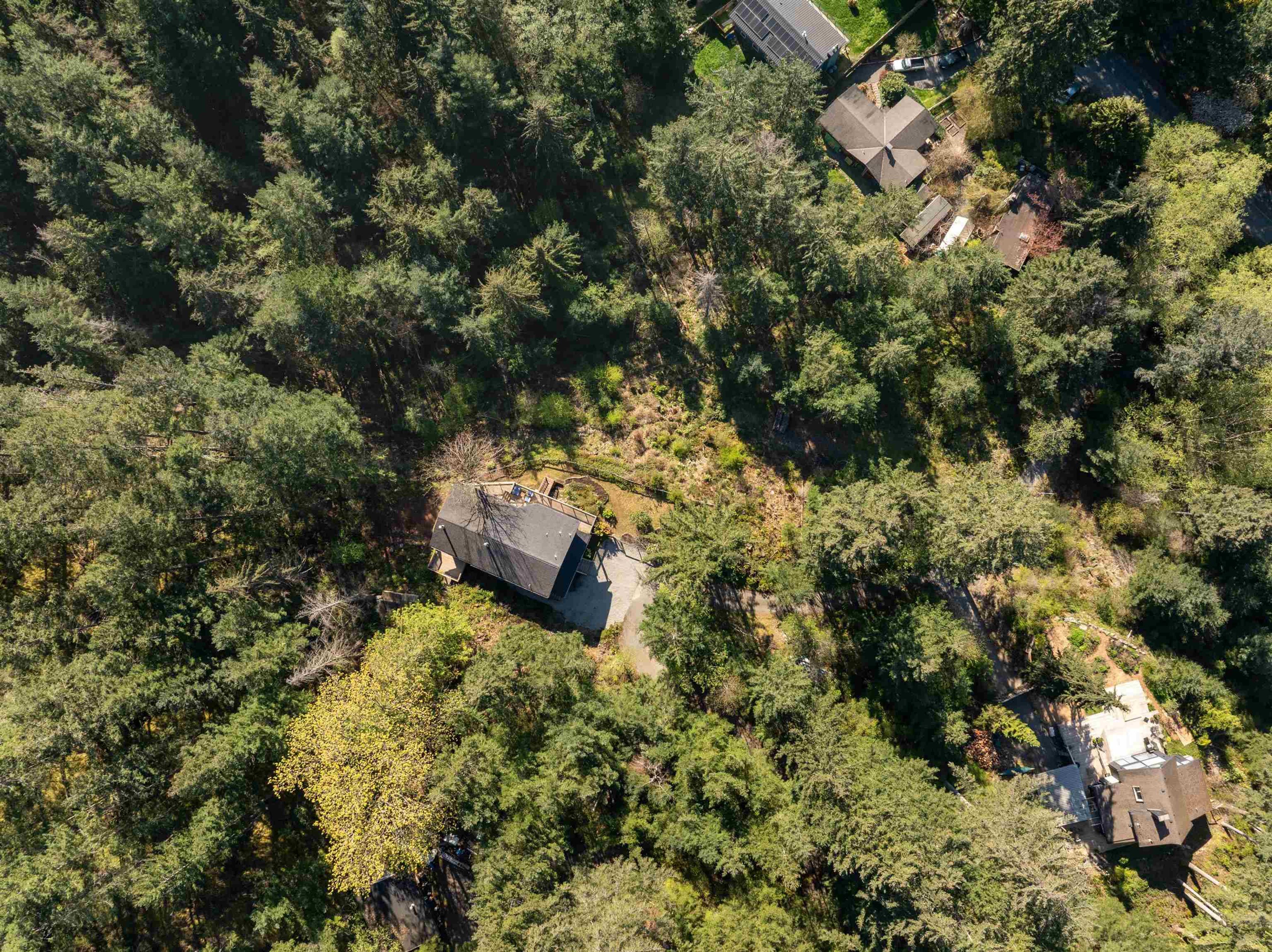 1557 WHITESAILS DRIVE - 31