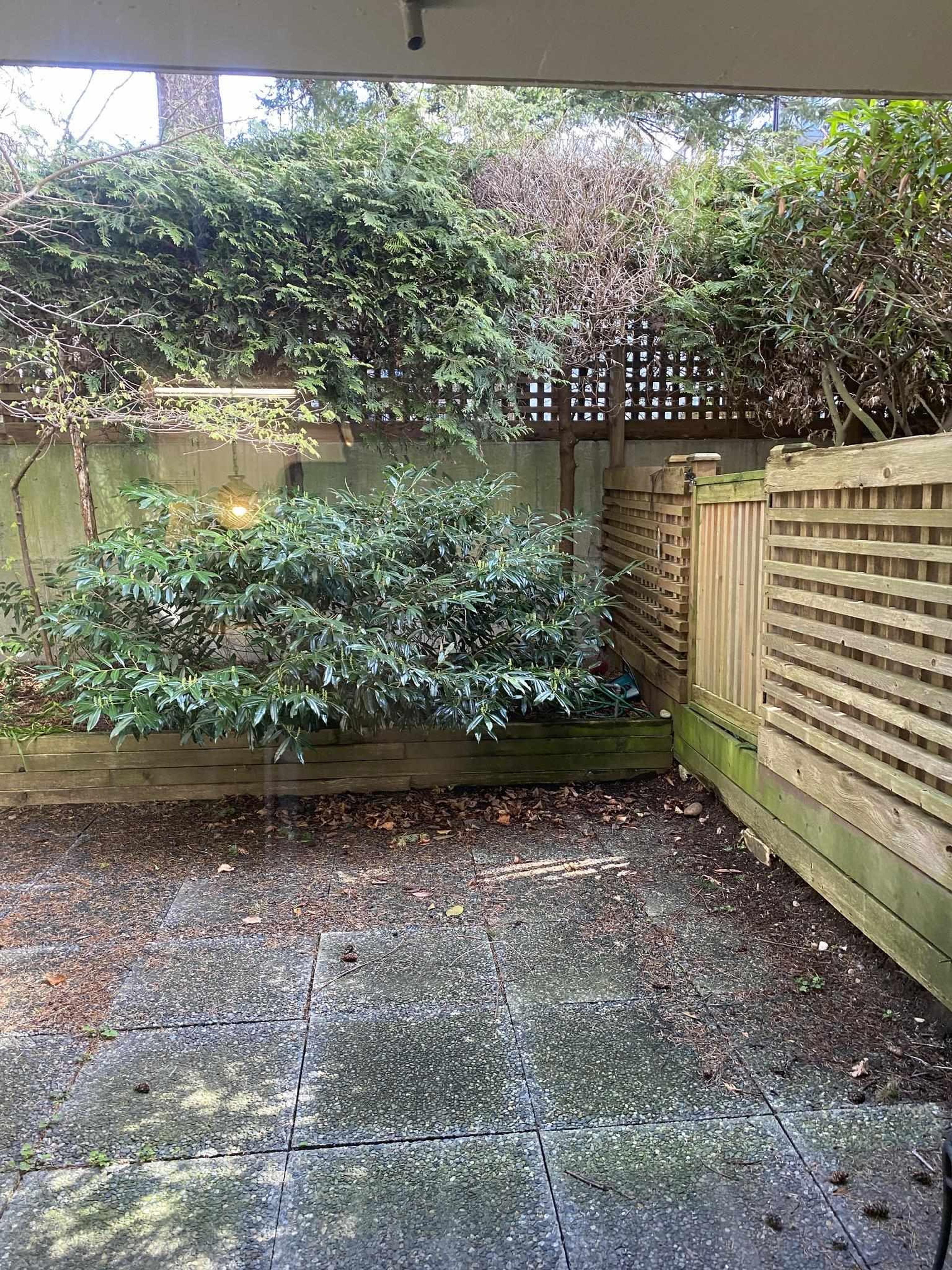 #102 1442 FOSTER STREET - Image 5