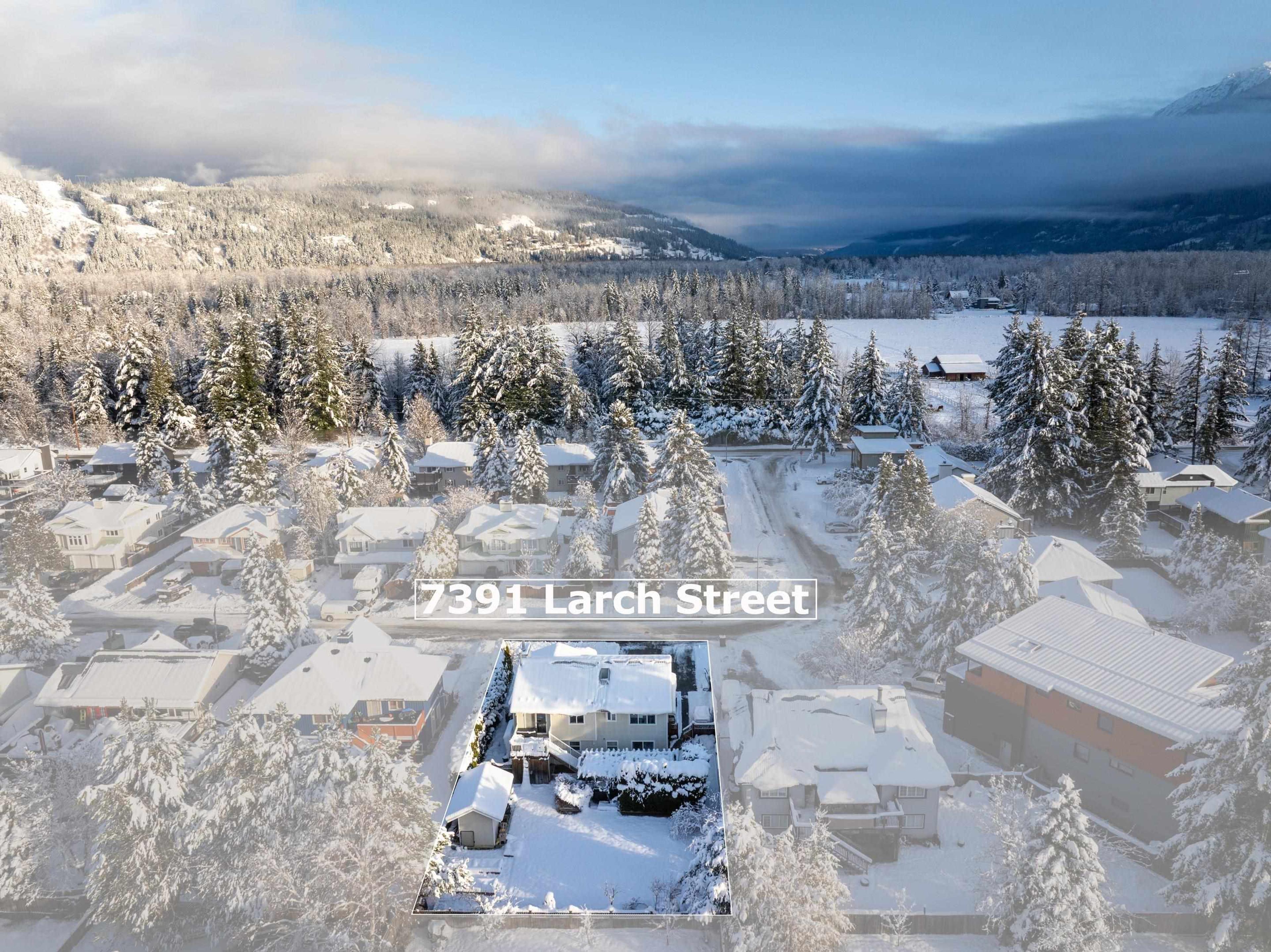 7391 LARCH STREET - 36