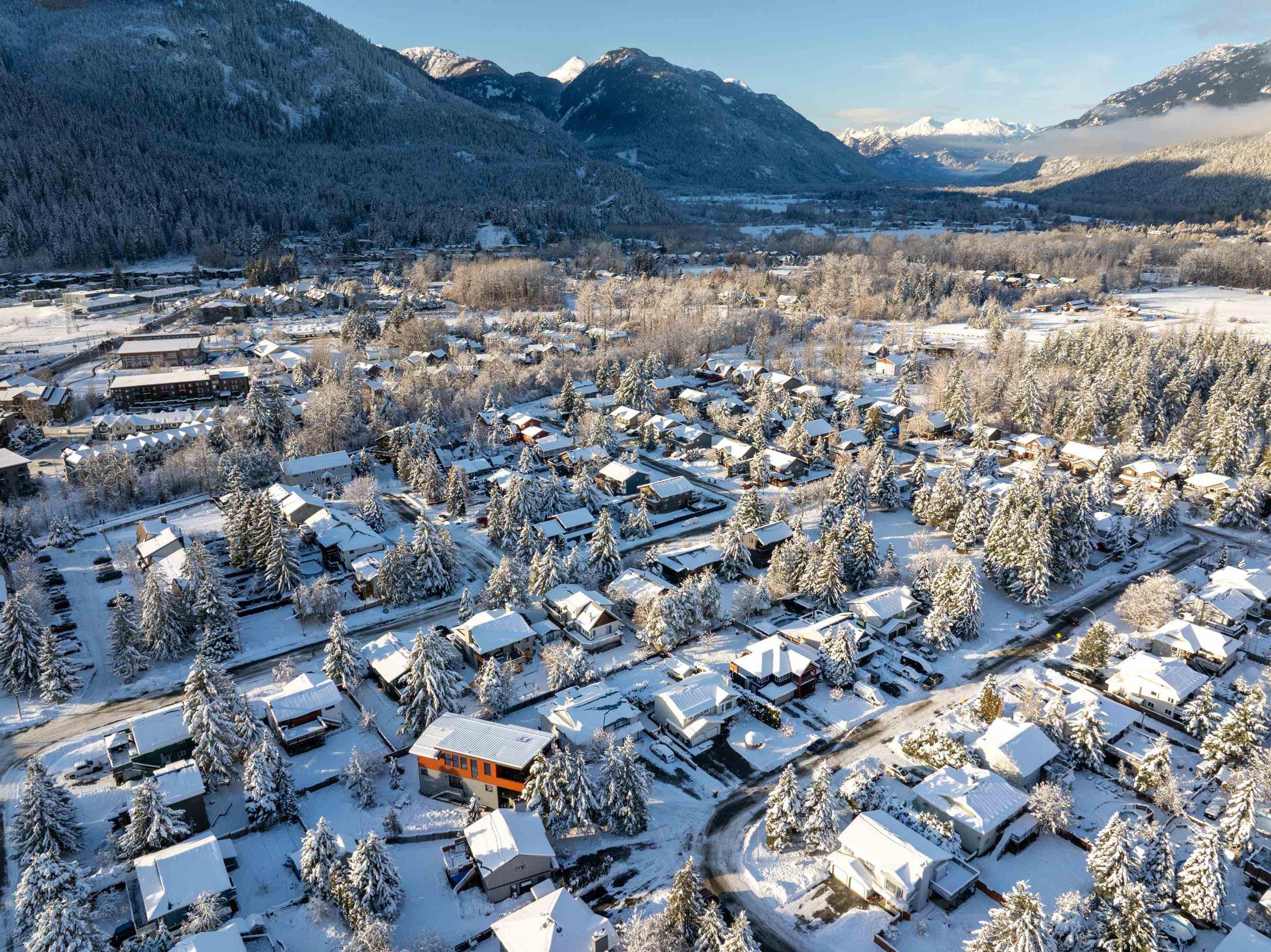 7391 LARCH STREET - 38