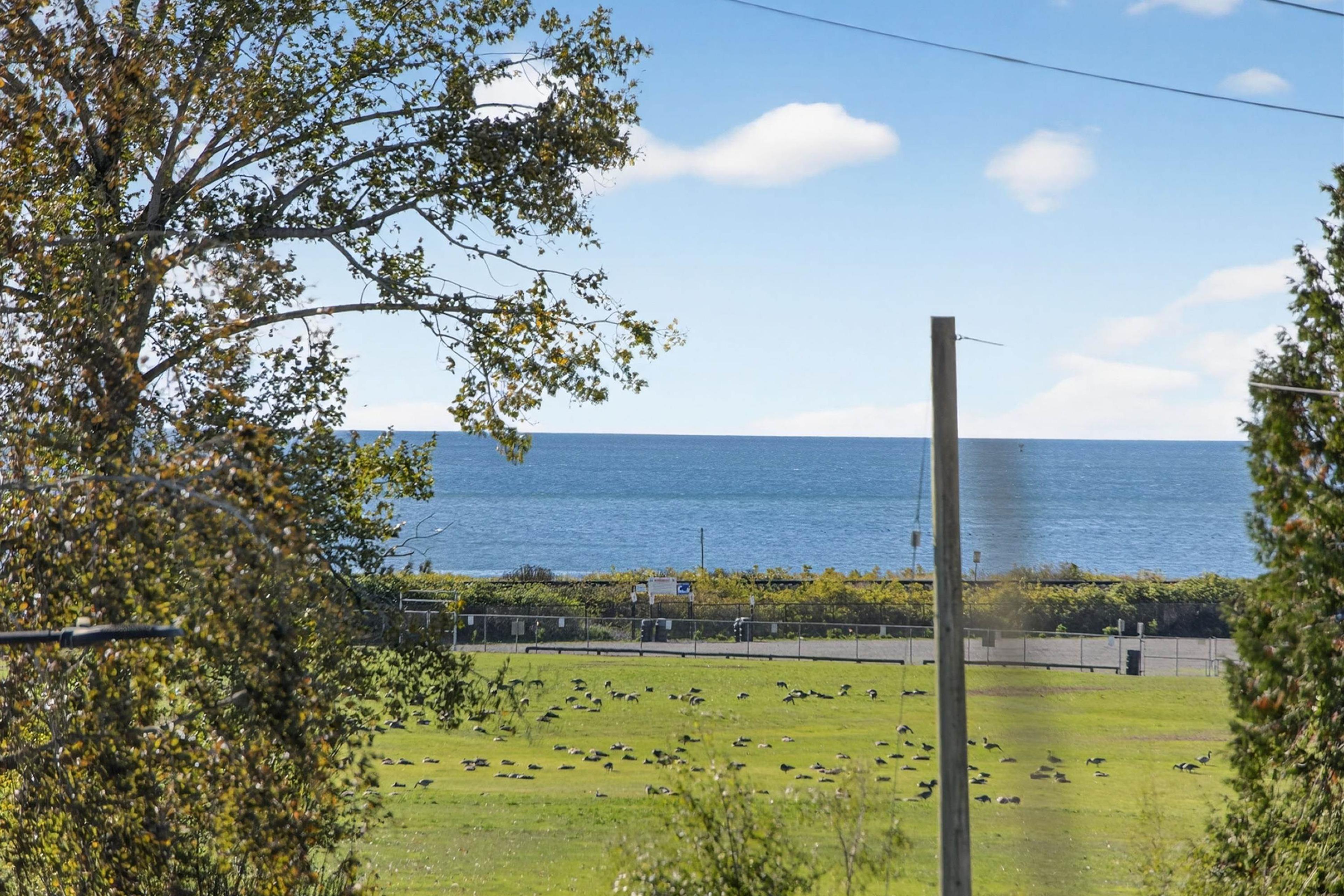 #11 15971 MARINE DRIVE - 26