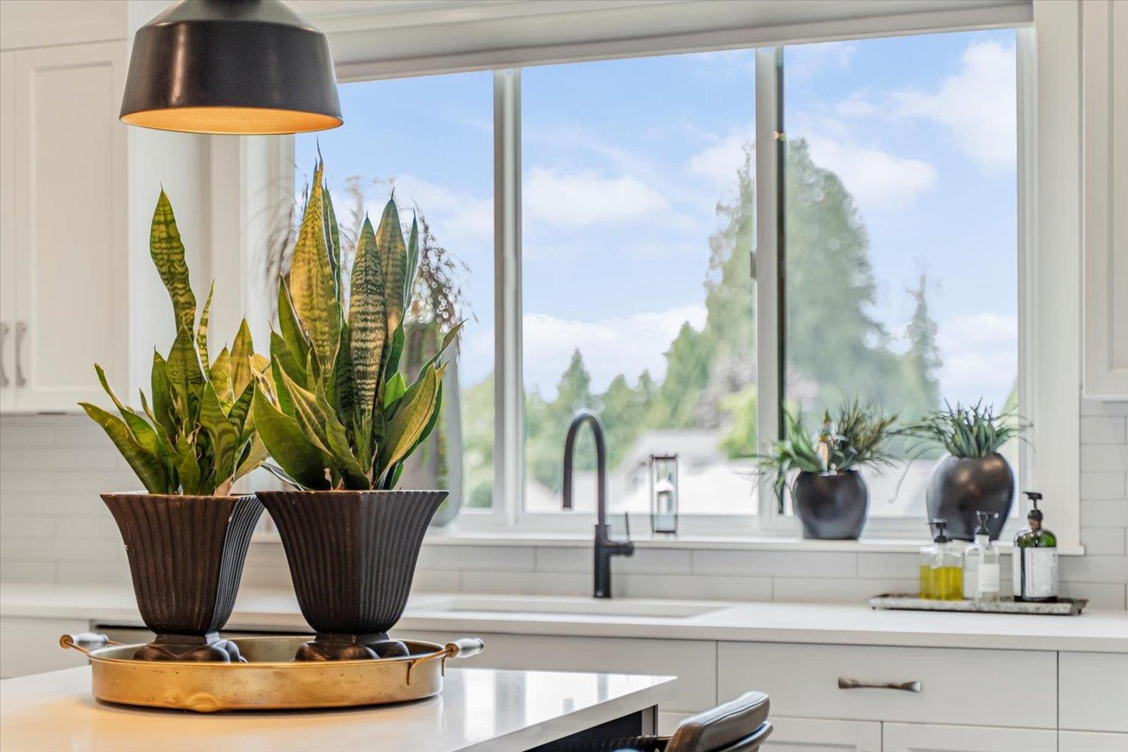 10047 MAGNOLIA PLACE - 14