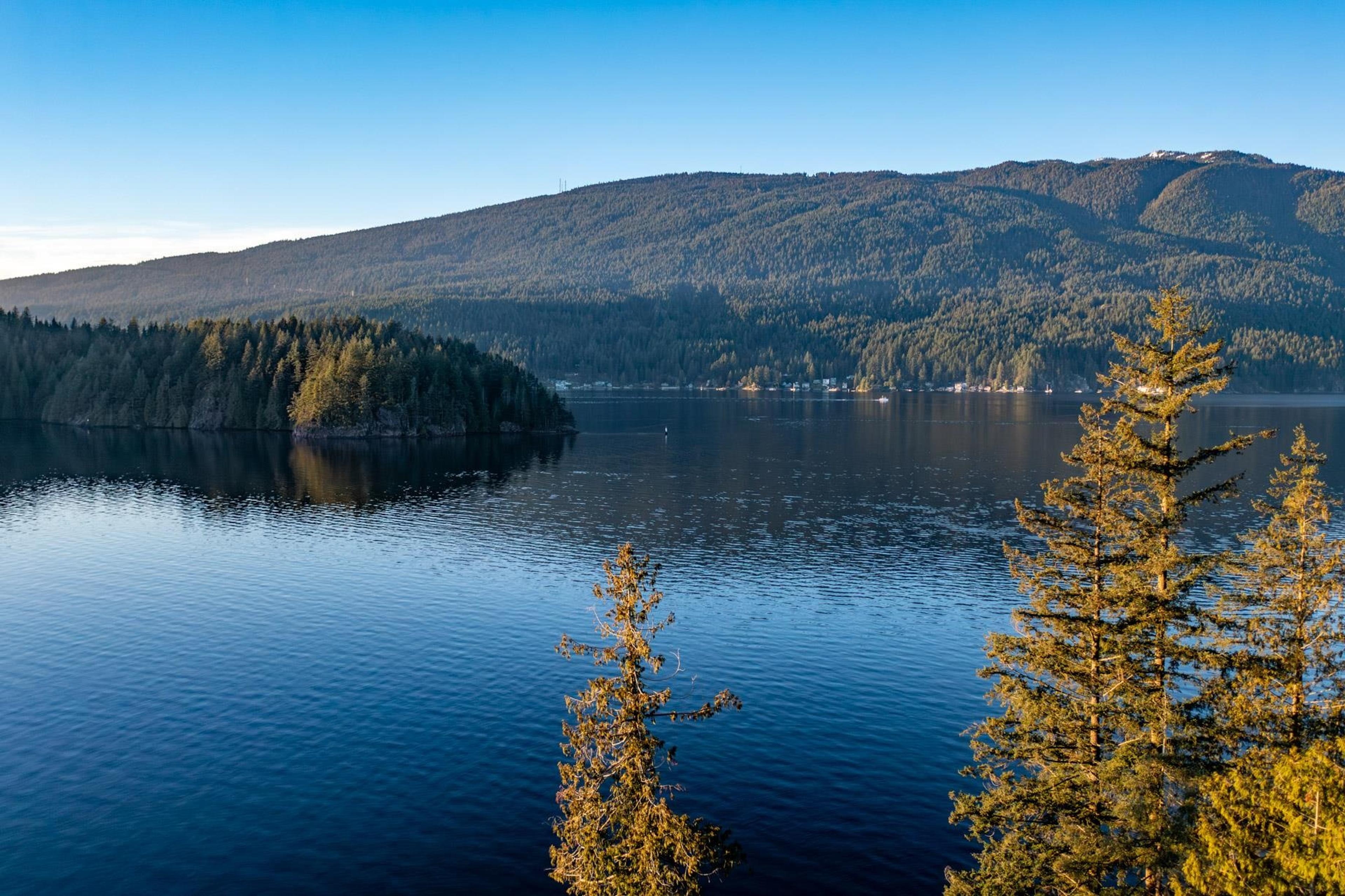 3431 SENKLER ROAD - Image 2