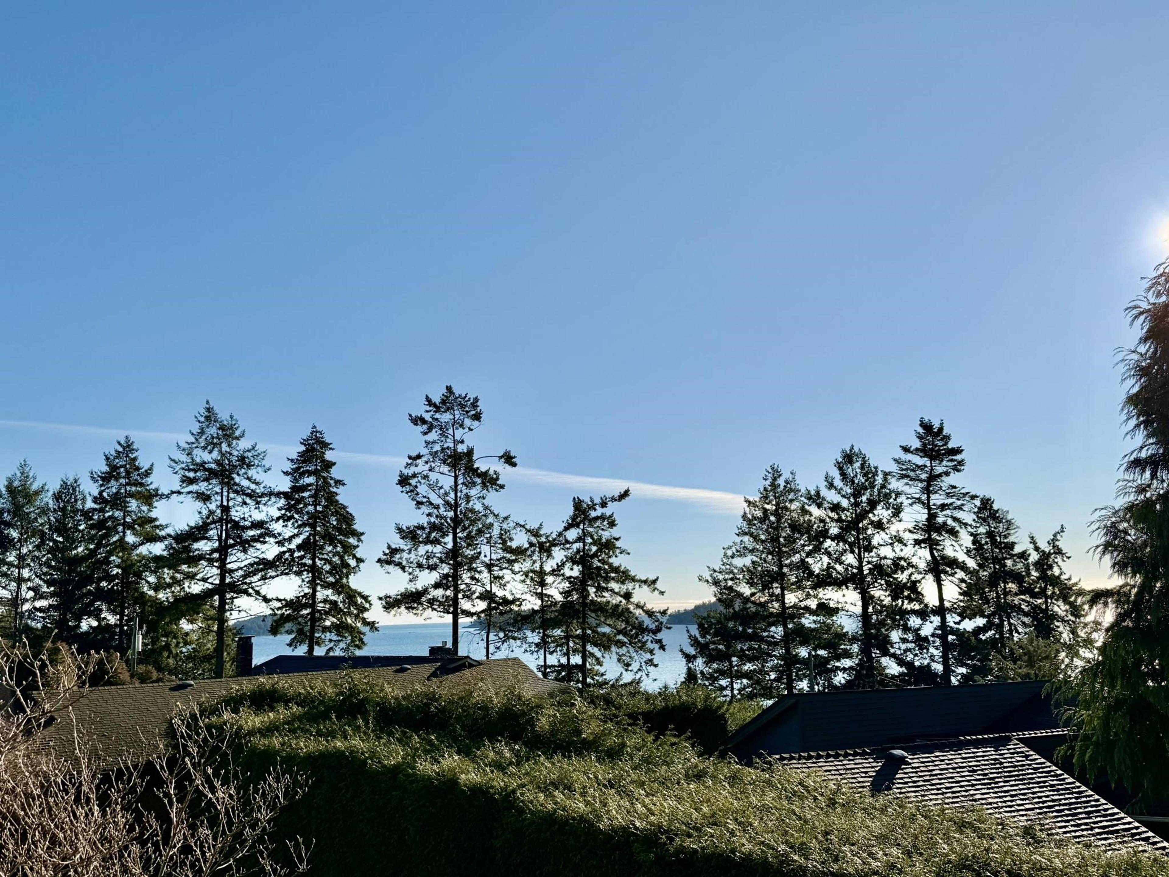 7077 DALE ROAD - Image 2