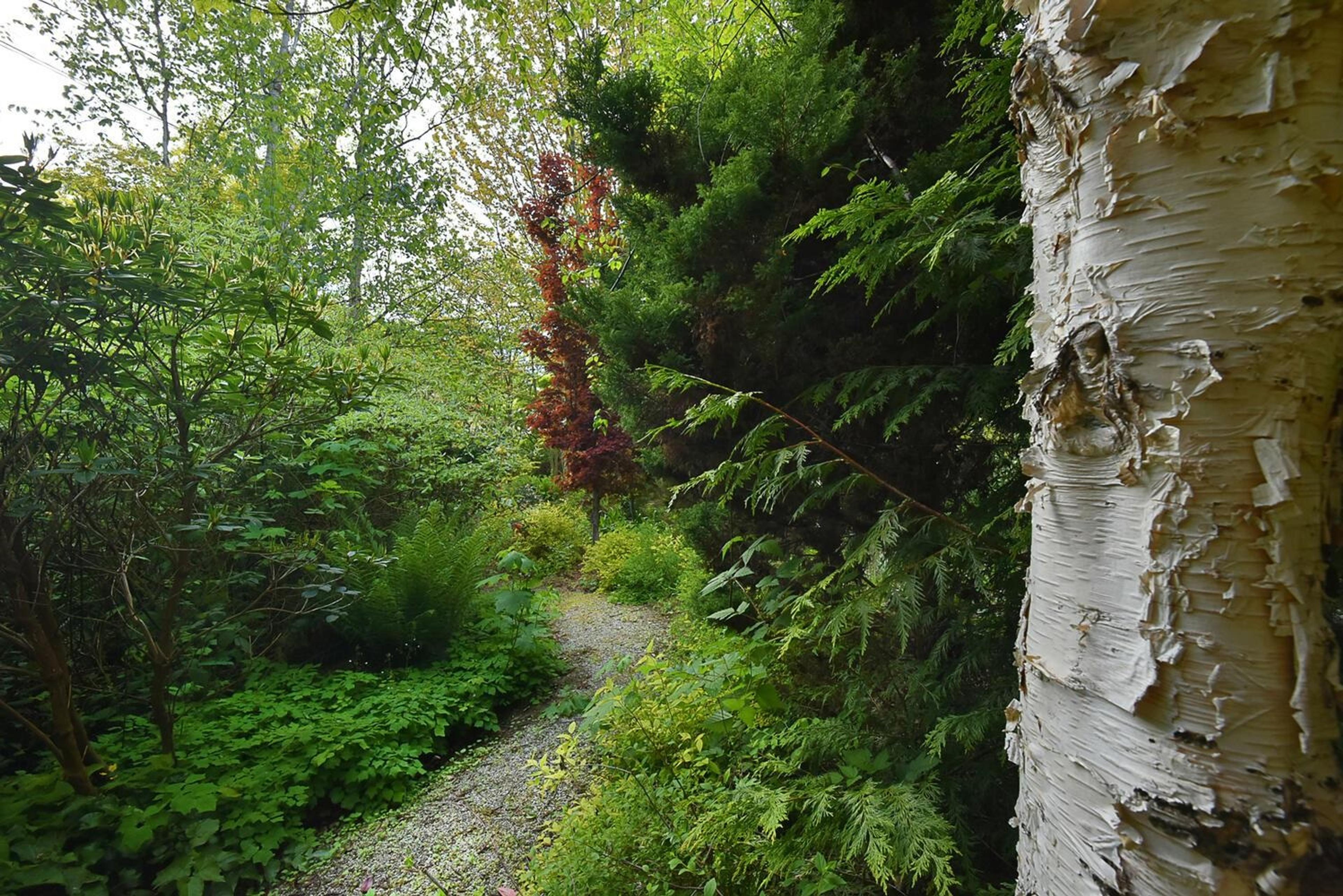 2855 LACEY PLACE - 36