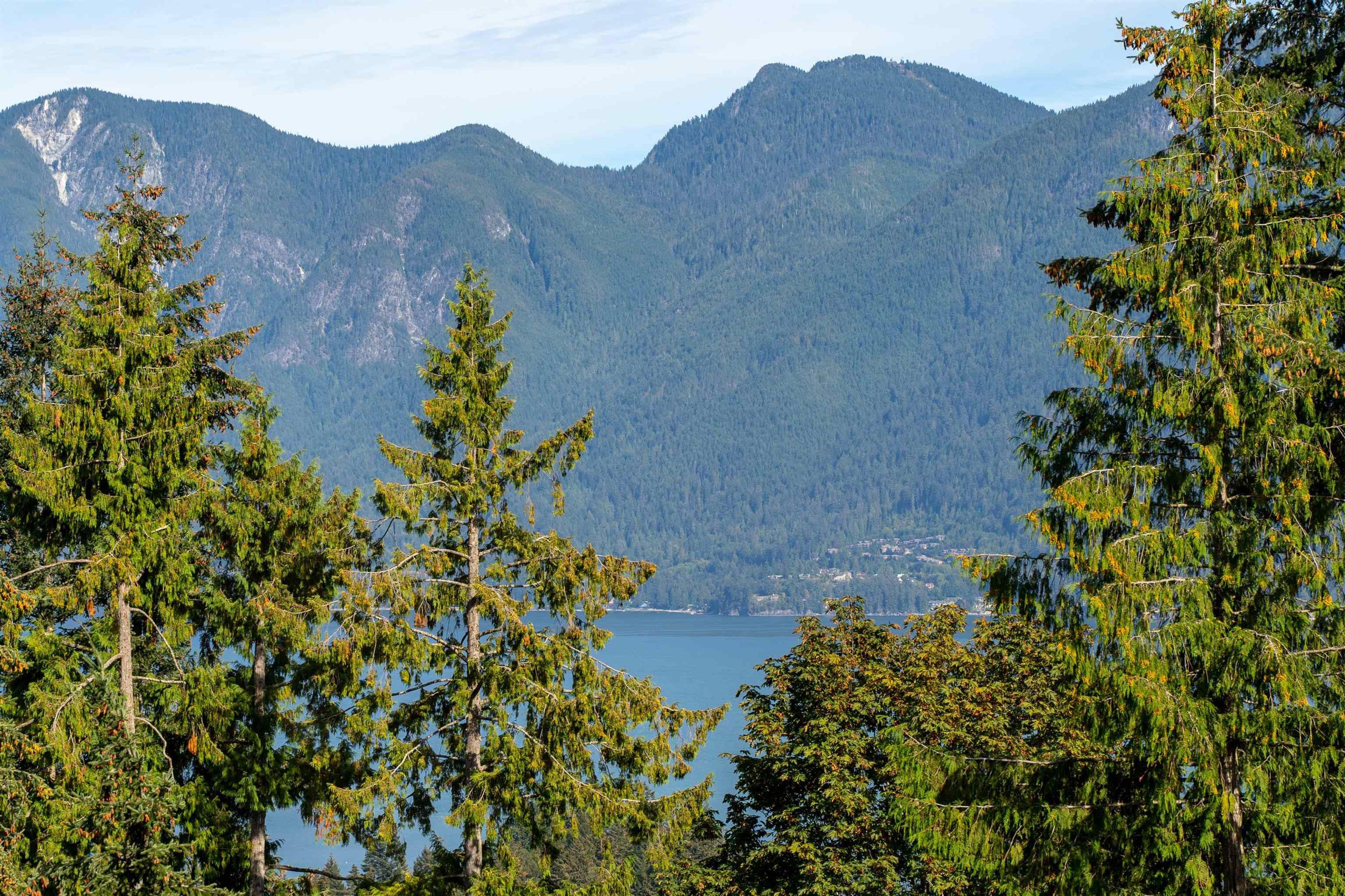 947 VILLAGE DRIVE - 37