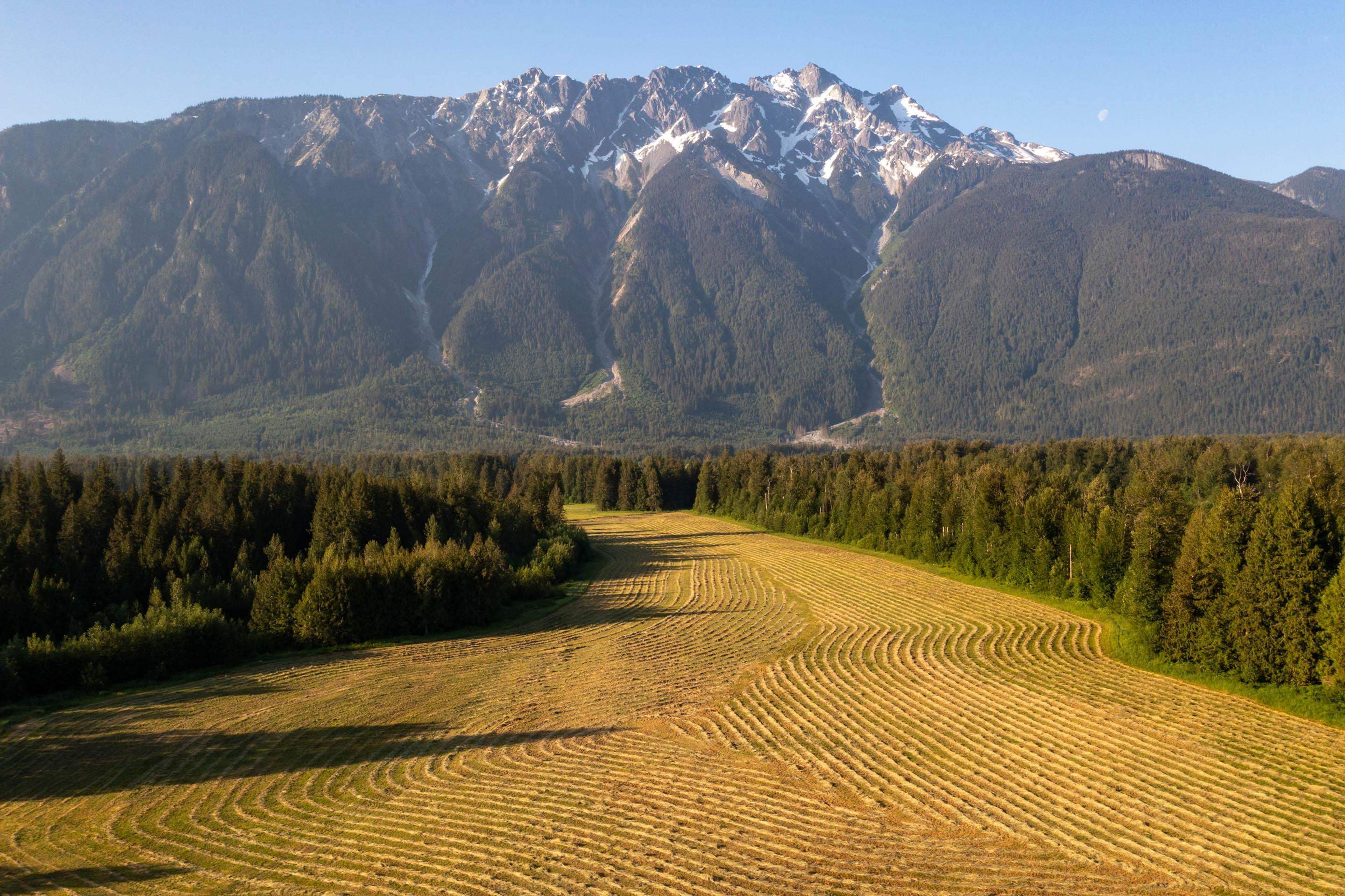 7634 SEVEN O'CLOCK DRIVE - 17