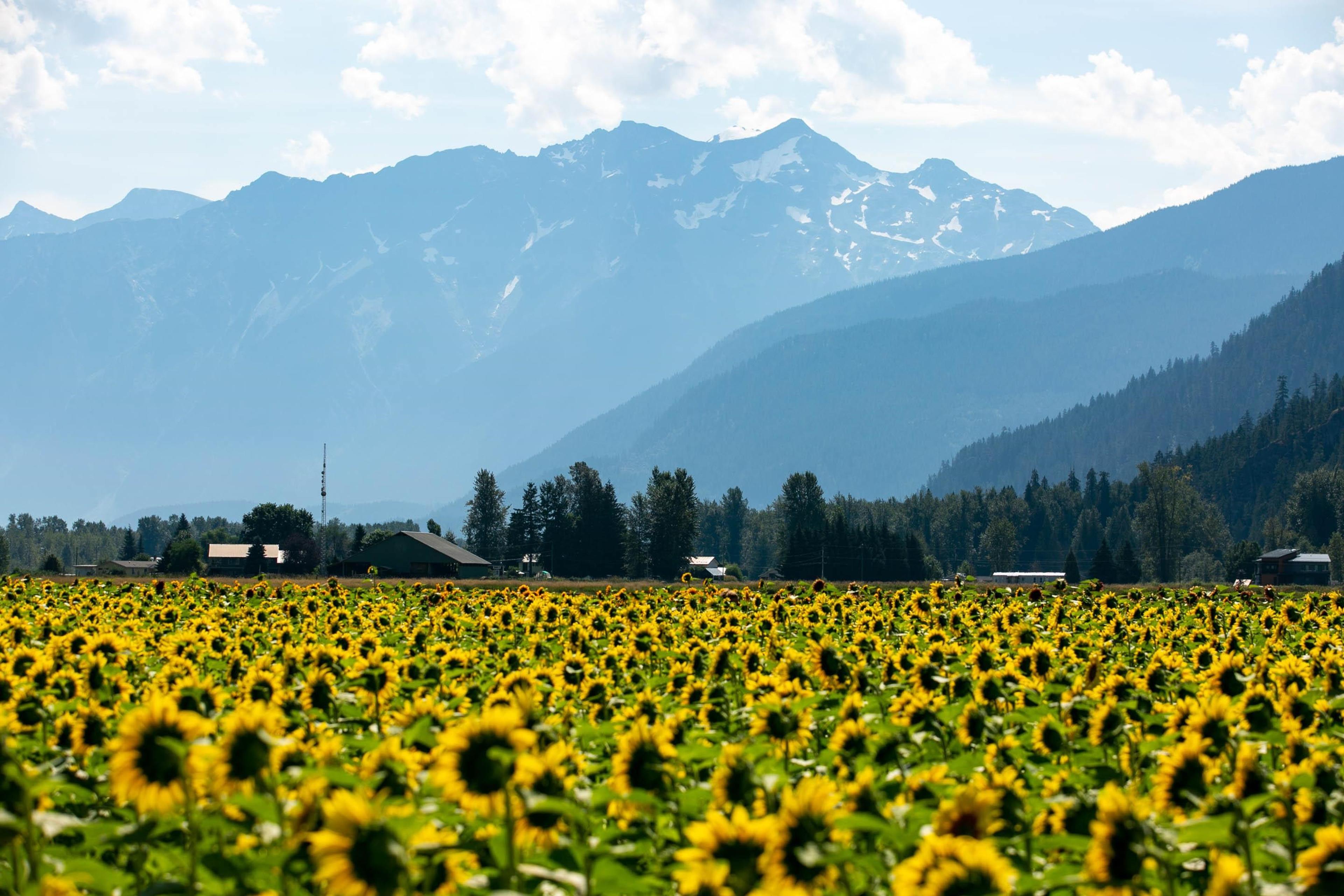 7634 SEVEN O'CLOCK DRIVE - 28