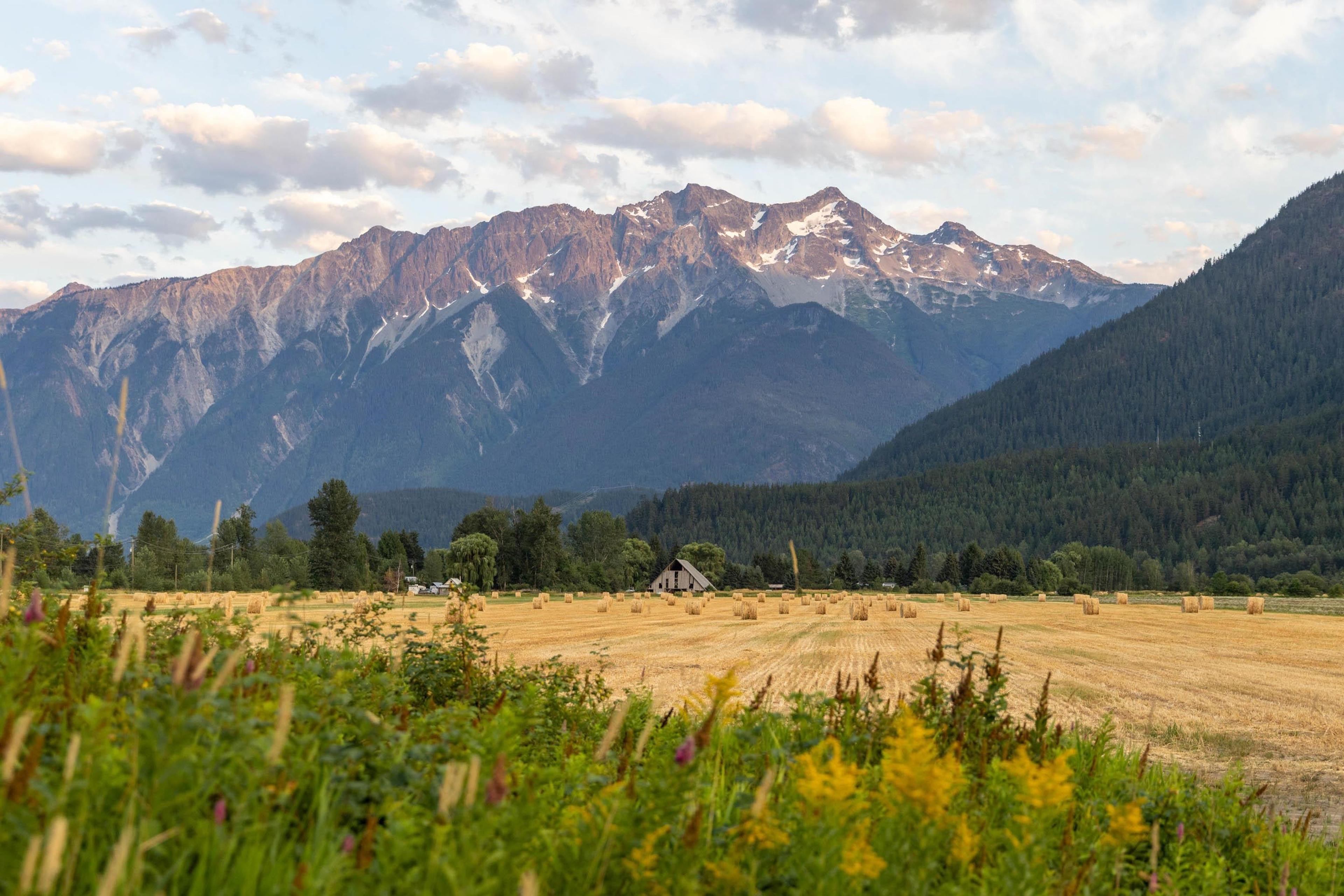 7634 SEVEN O'CLOCK DRIVE - 30