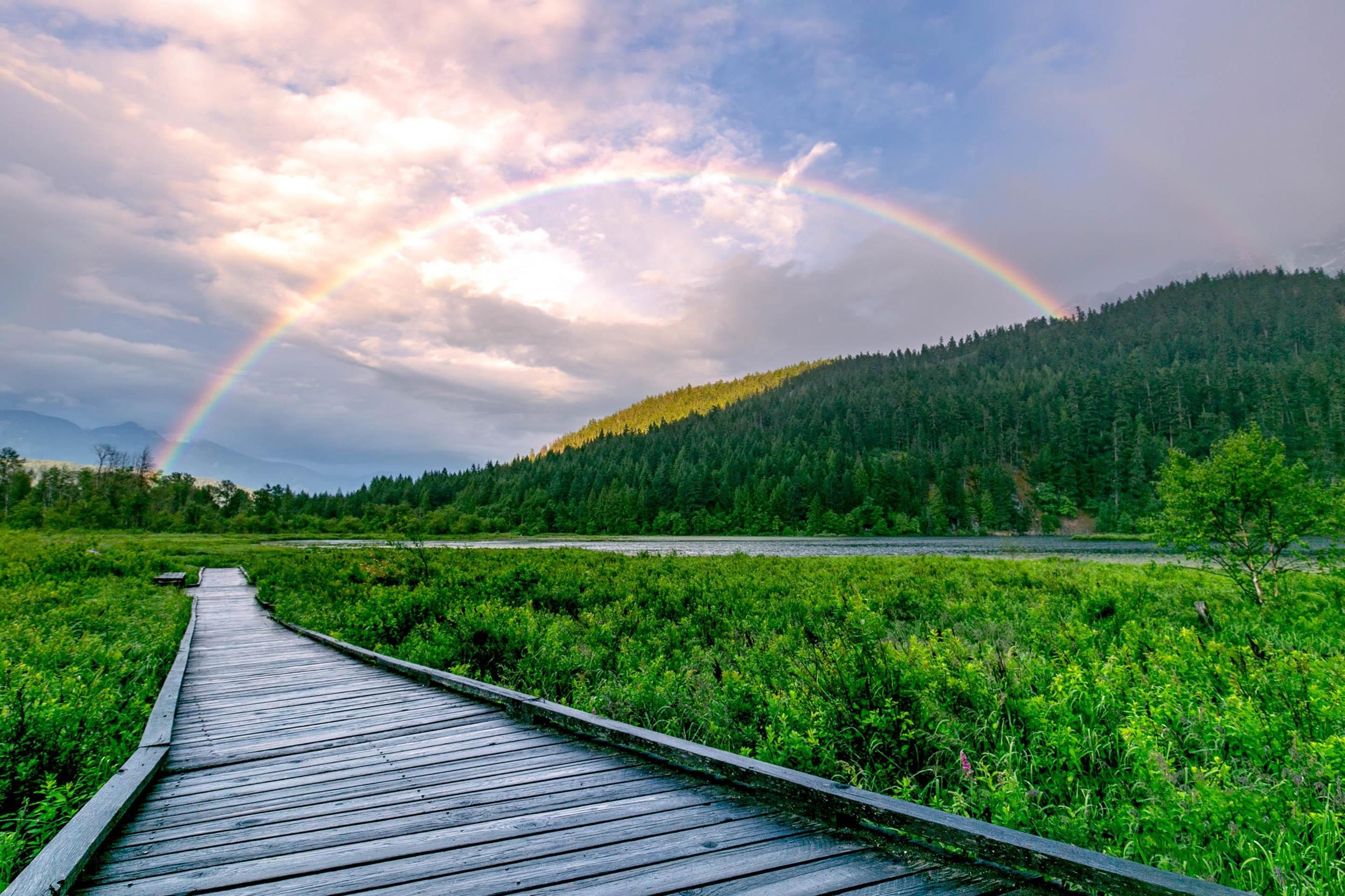 7634 SEVEN O'CLOCK DRIVE - 19