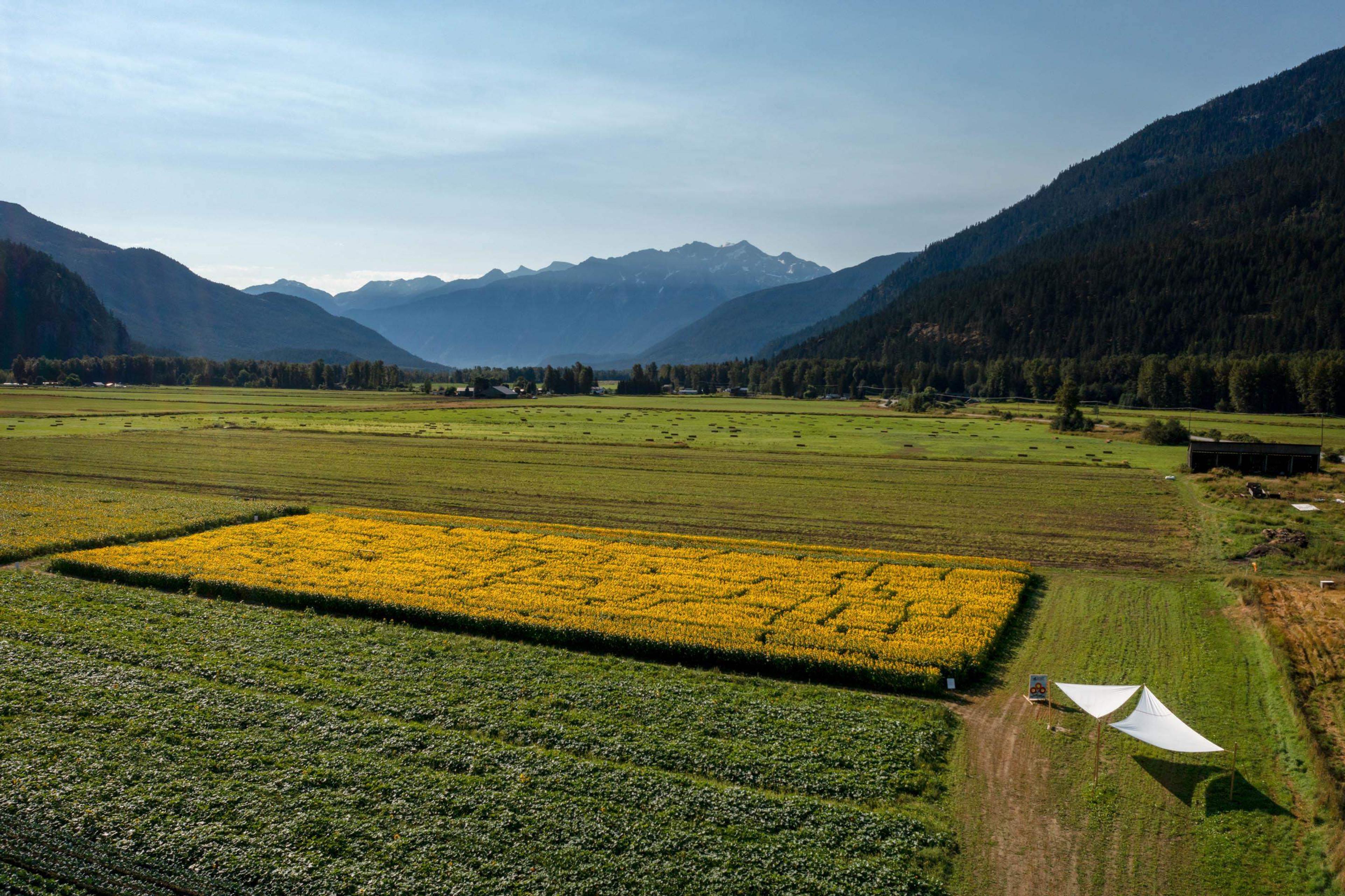 7634 SEVEN O'CLOCK DRIVE - 29