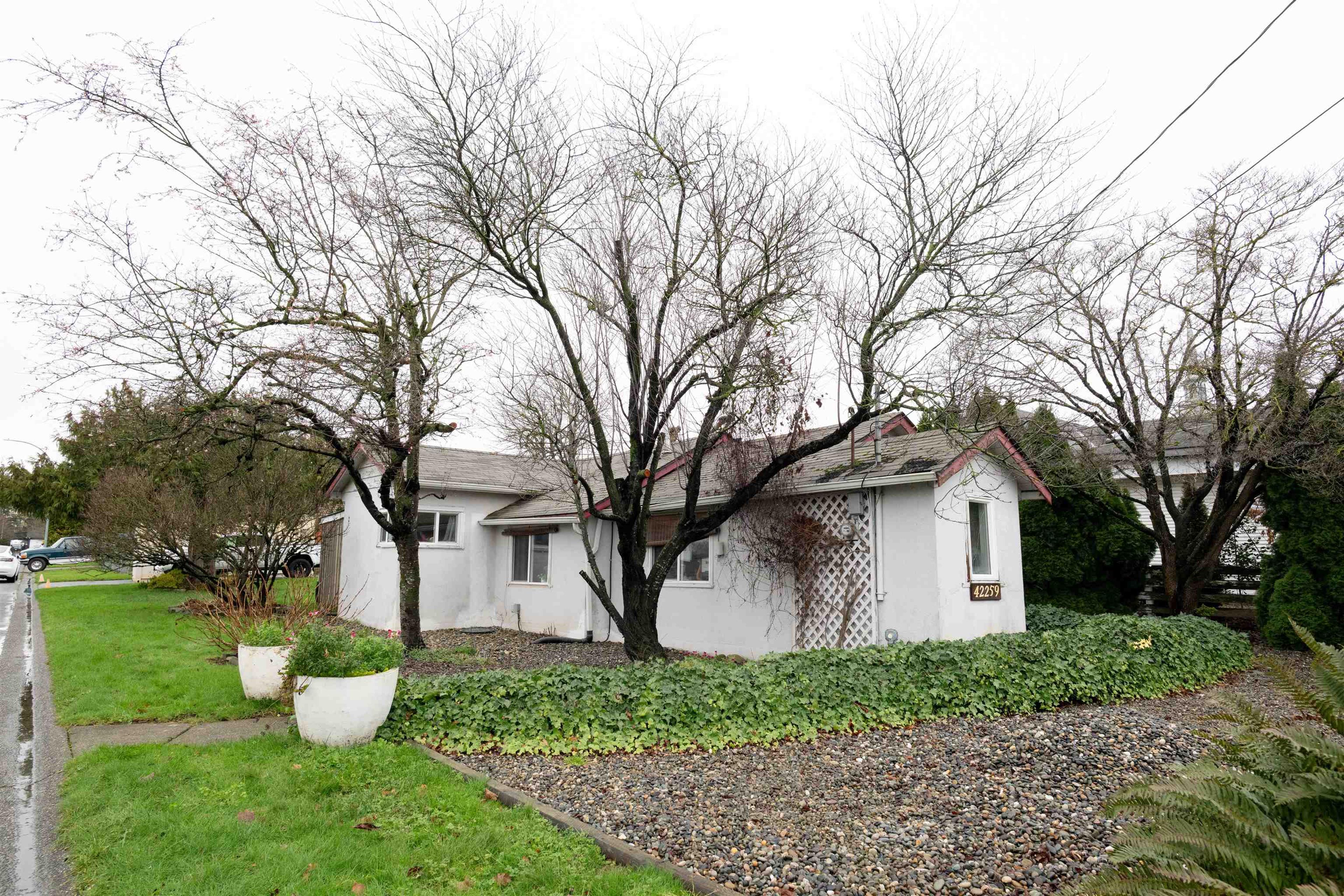 42259 YARROW CENTRAL ROAD - Image 3