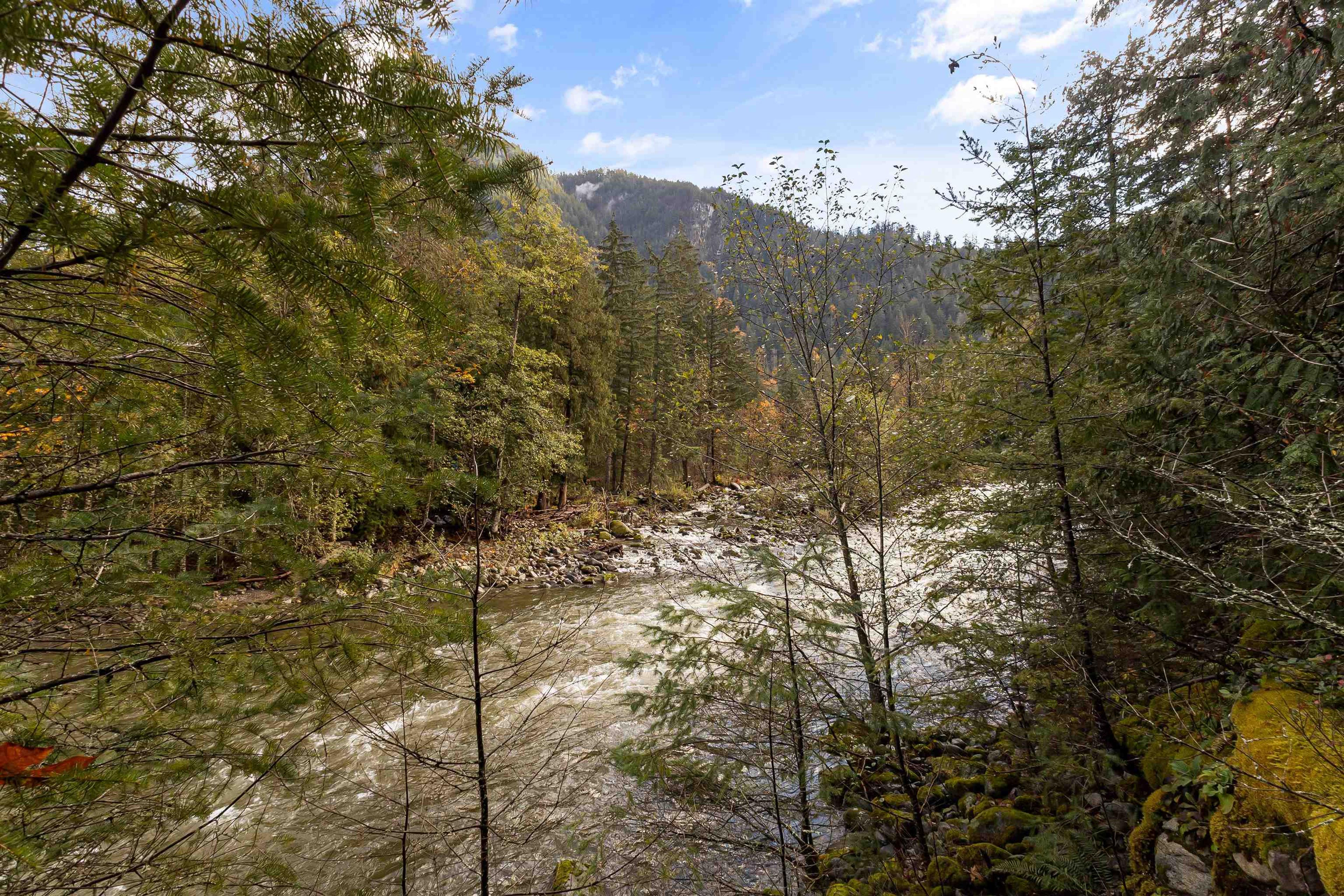 19602 SILVER SKAGIT ROAD - Image 2