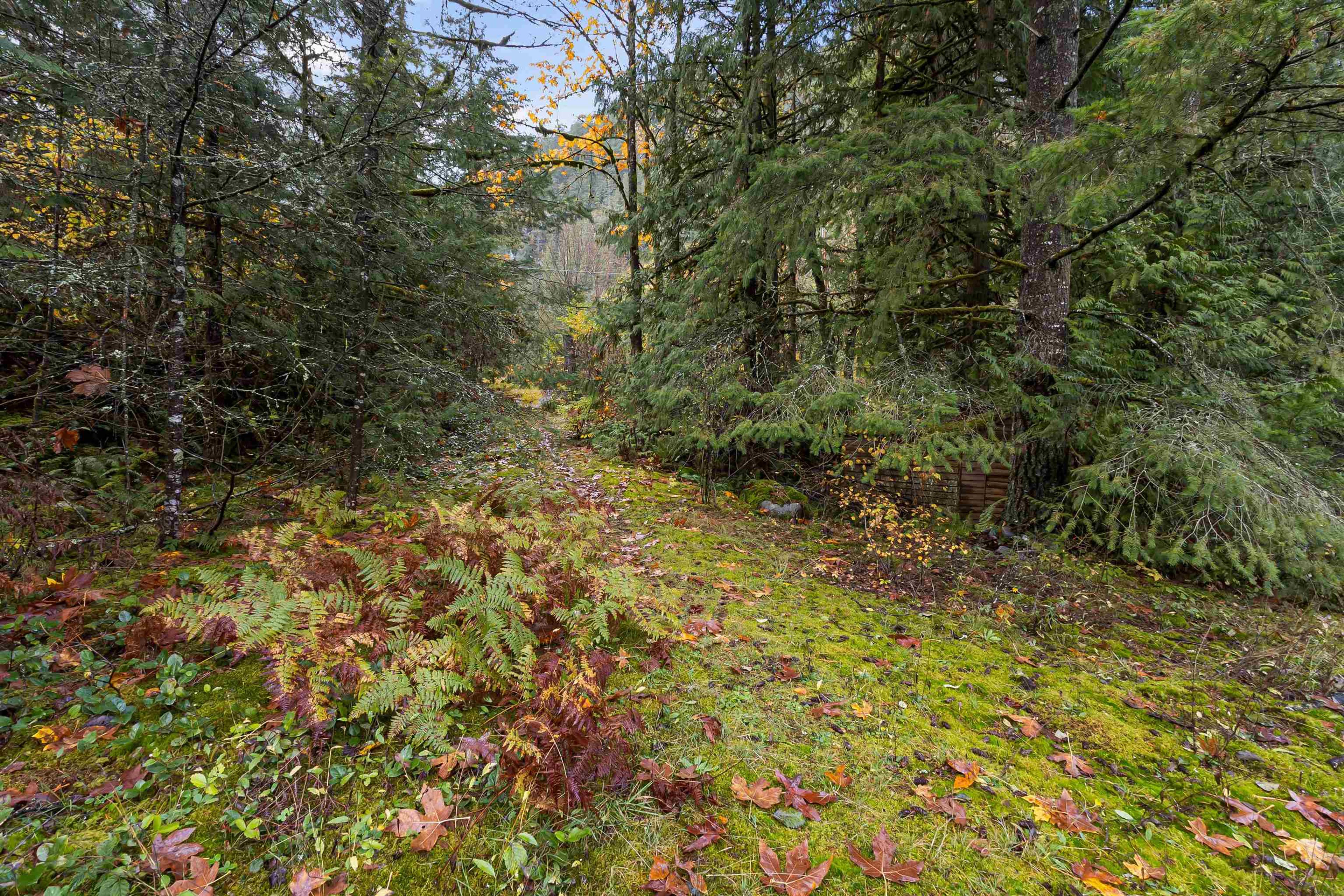 19602 SILVER SKAGIT ROAD - Image 3