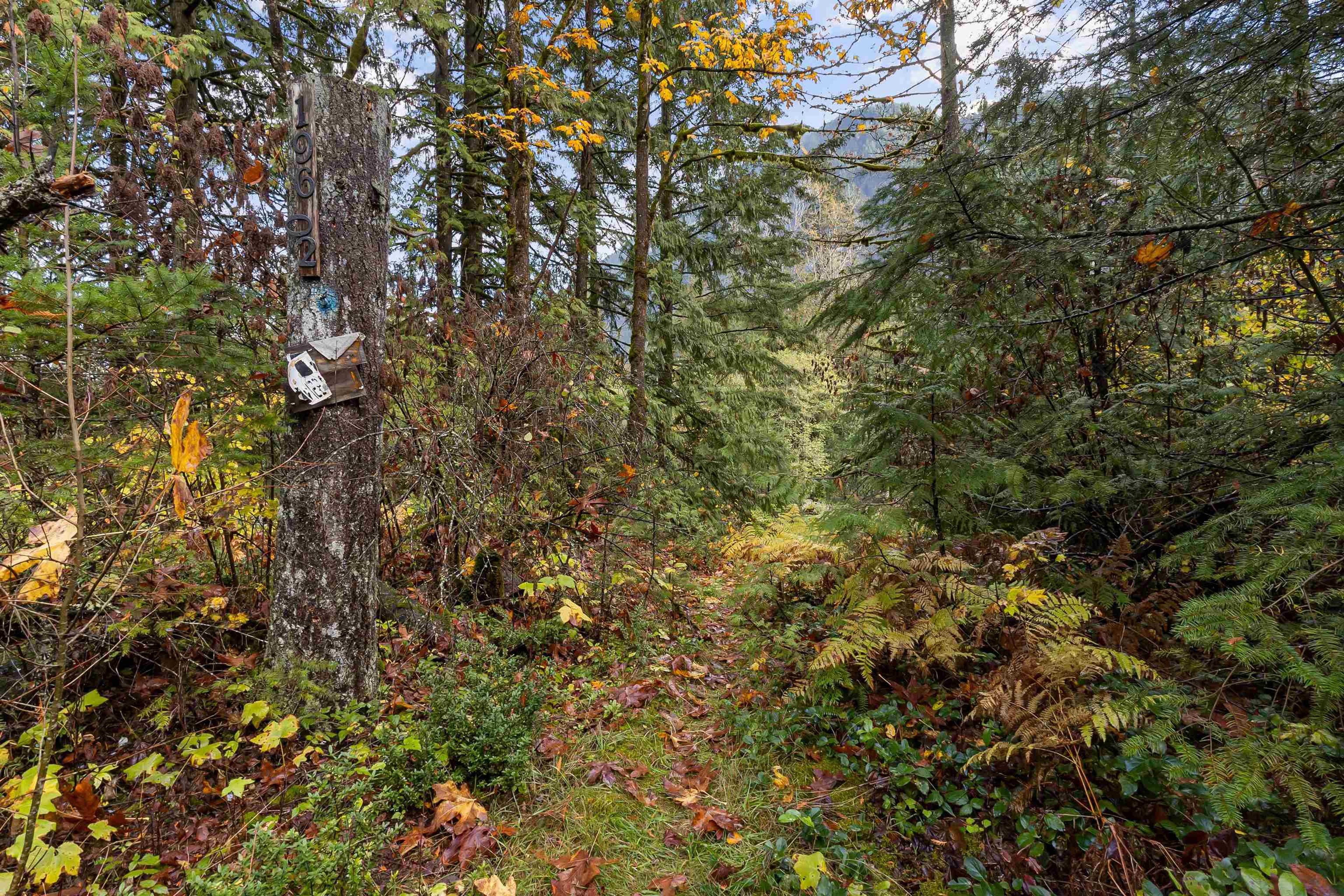 19602 SILVER SKAGIT ROAD - Image 4