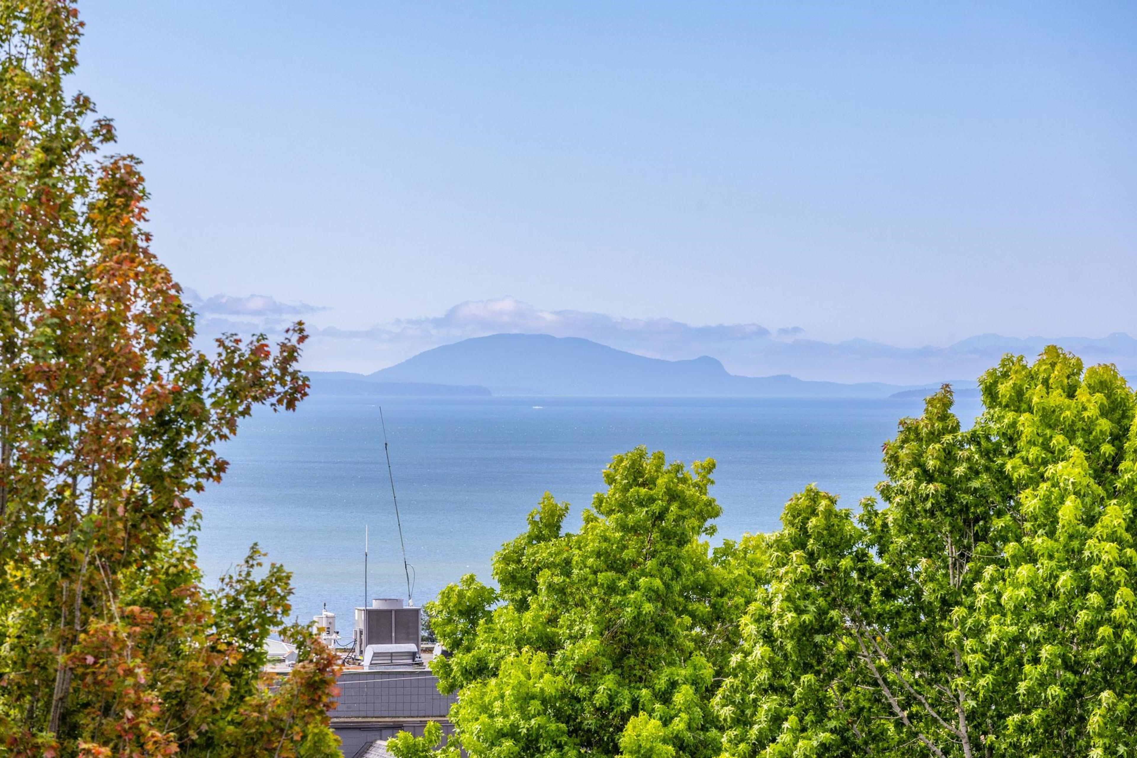 #314 1342 JOHNSTON ROAD - 26