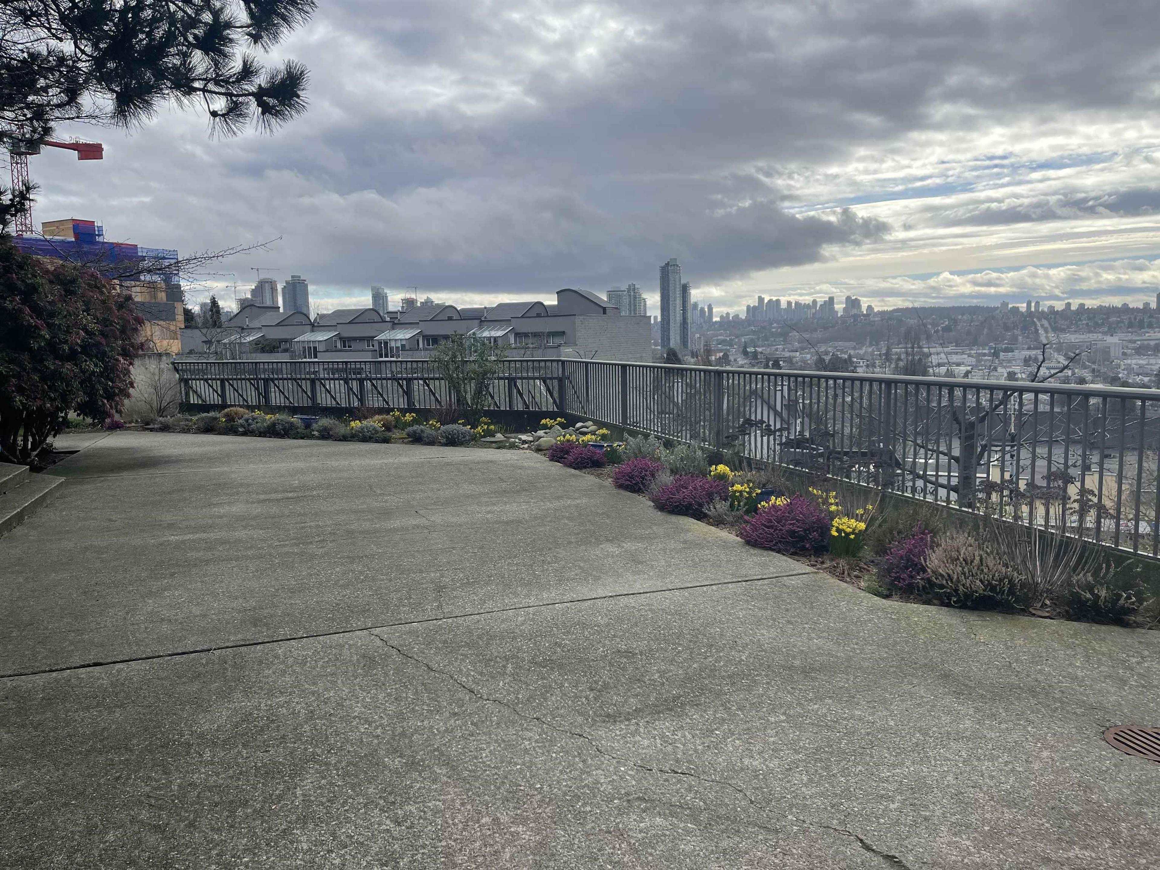 #206 3760 ALBERT STREET - Image 4