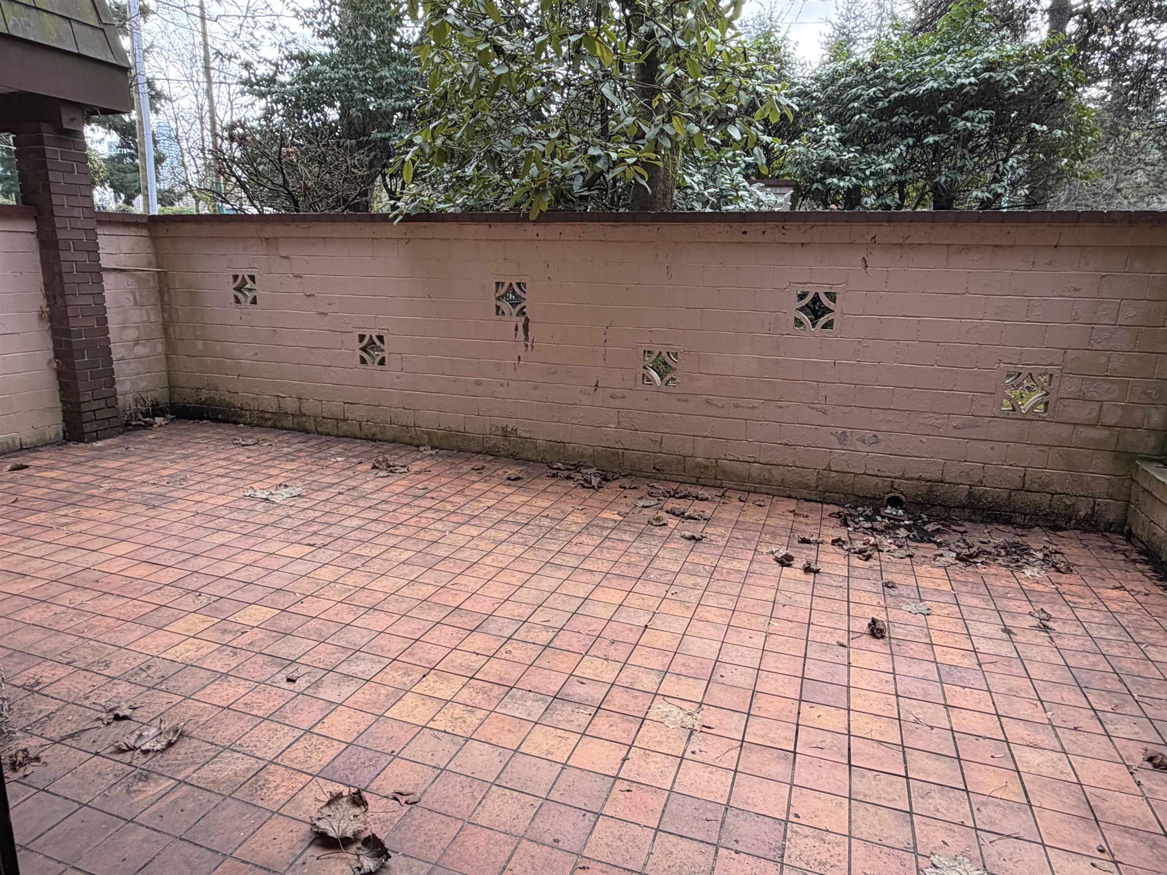 #109 3925 KINGSWAY - Image 10