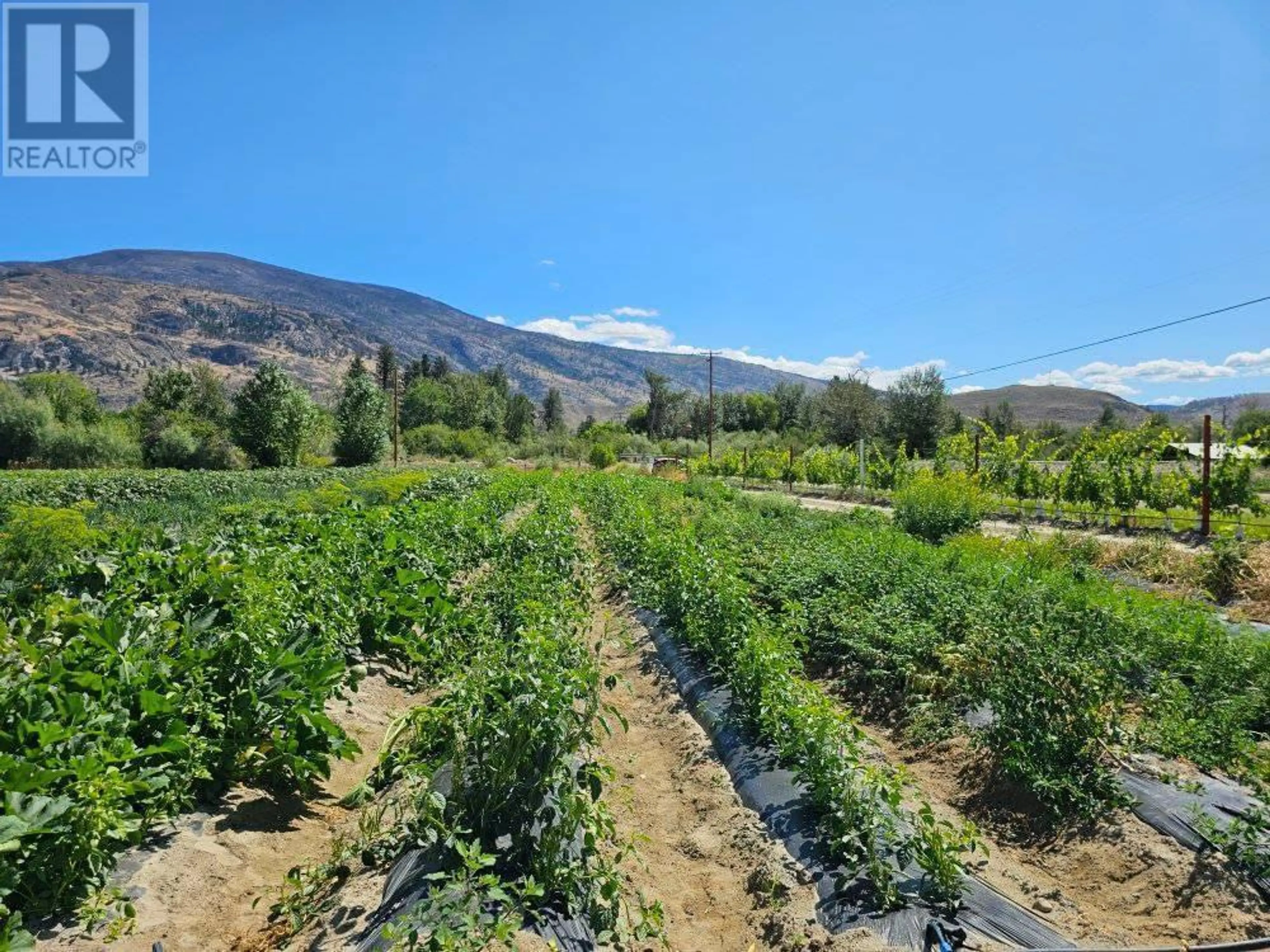 Property at 166 PARK RILL ROAD, Oliver, BC