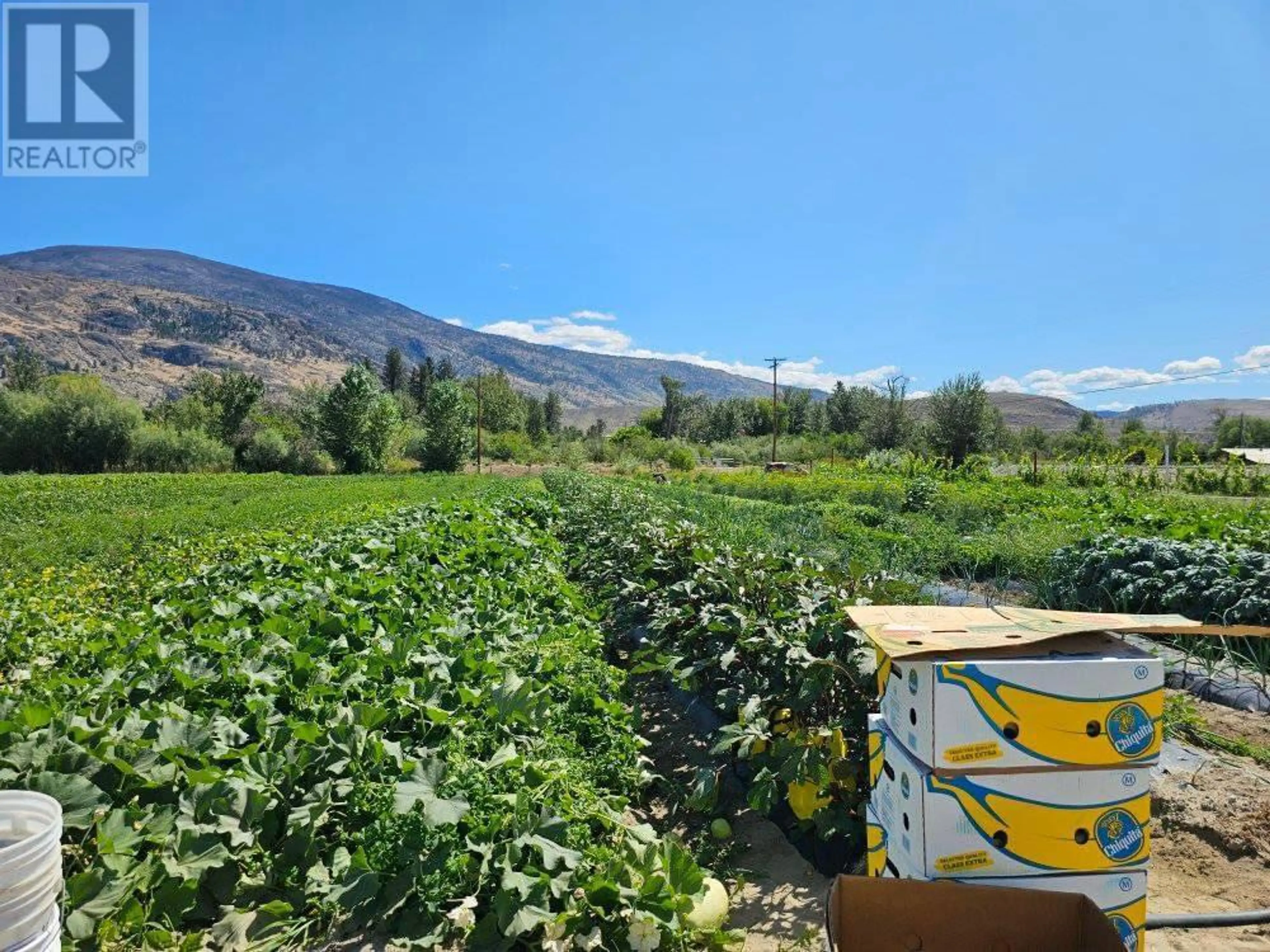 Property at 166 PARK RILL ROAD, Oliver, BC