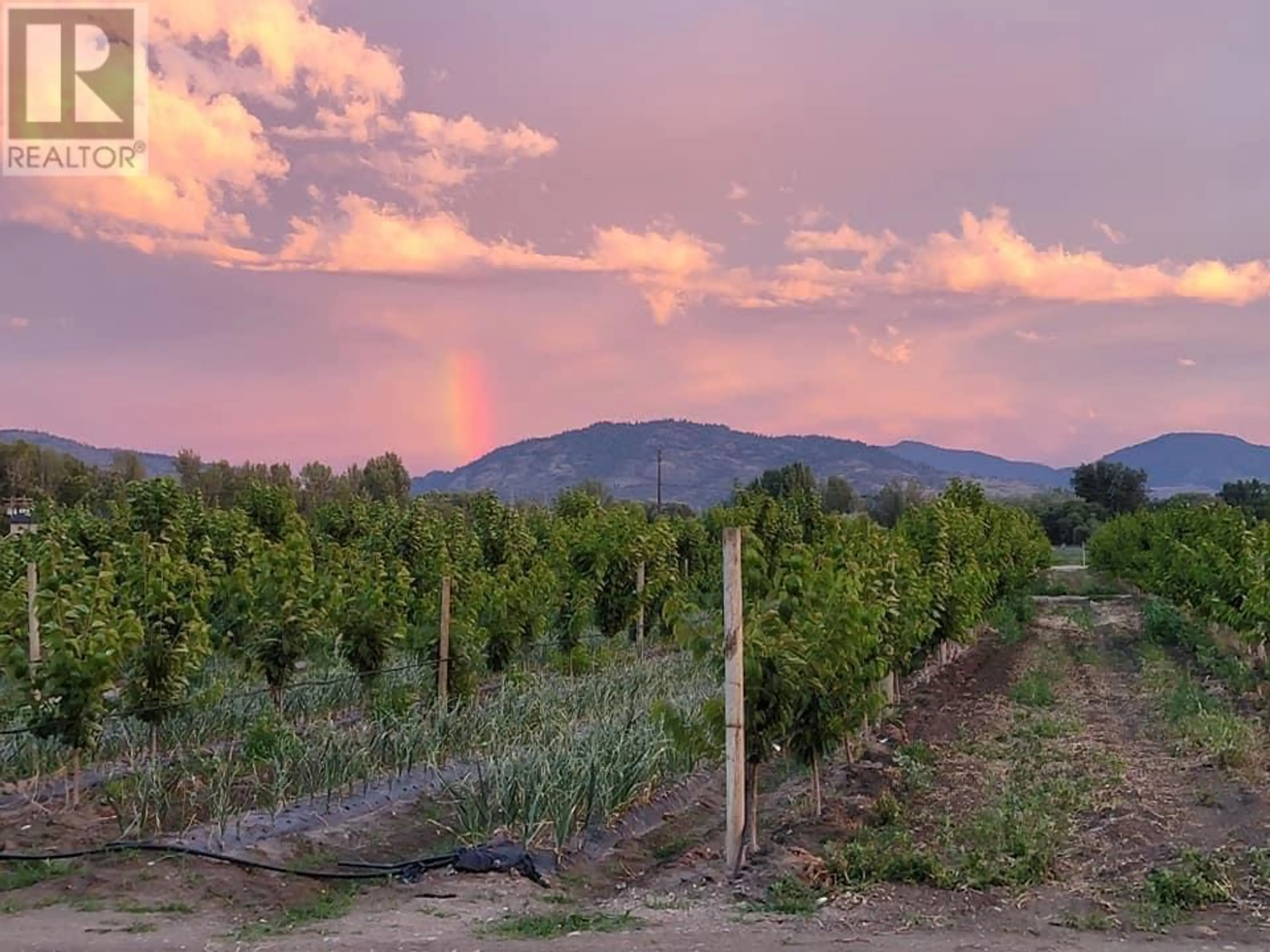 Property at 166 PARK RILL ROAD, Oliver, BC