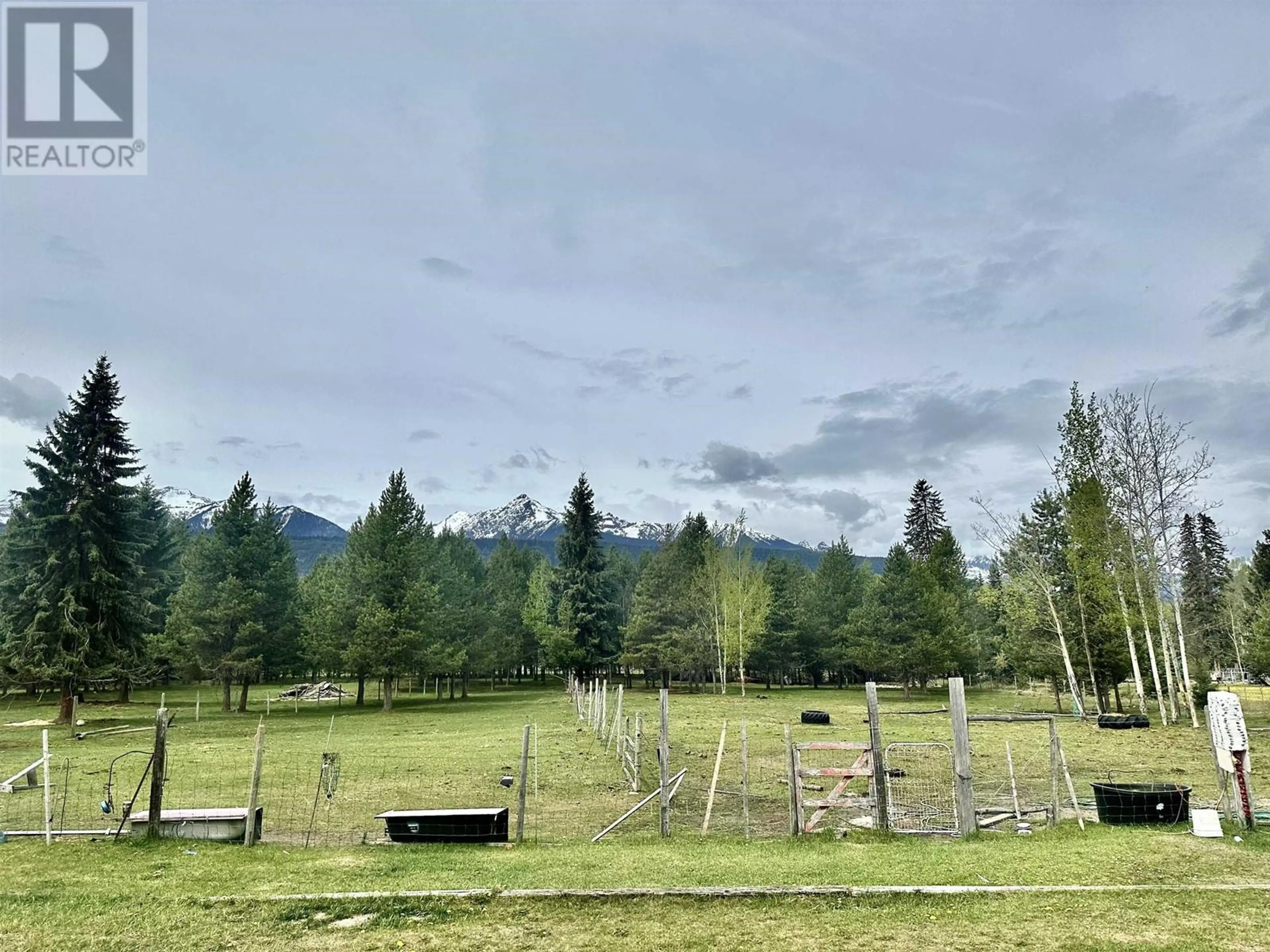 Property at 1355 KING ROAD, Valemount, BC