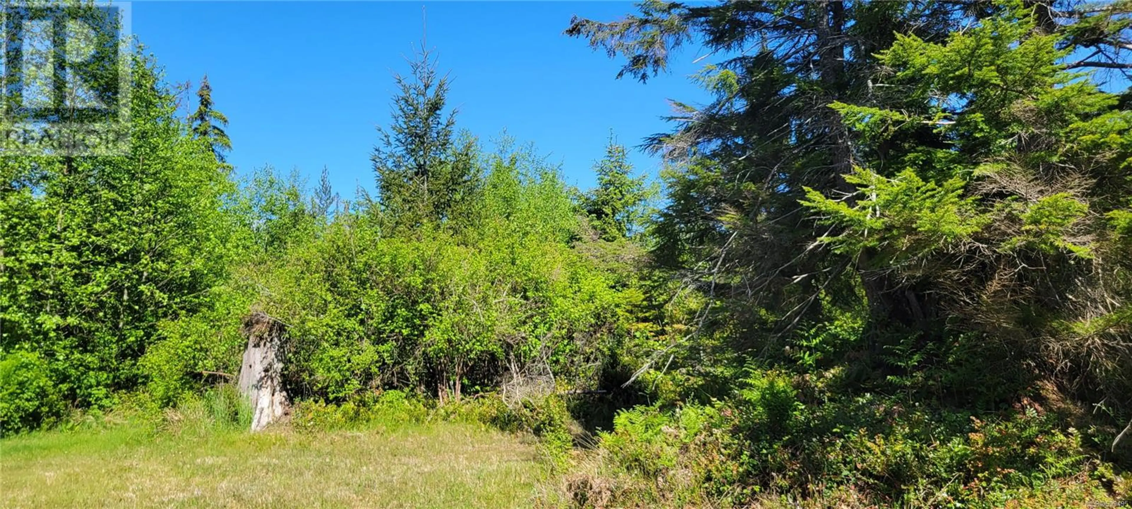 #SL 3 4275 SOUTH ISLAND HWY - Image 9