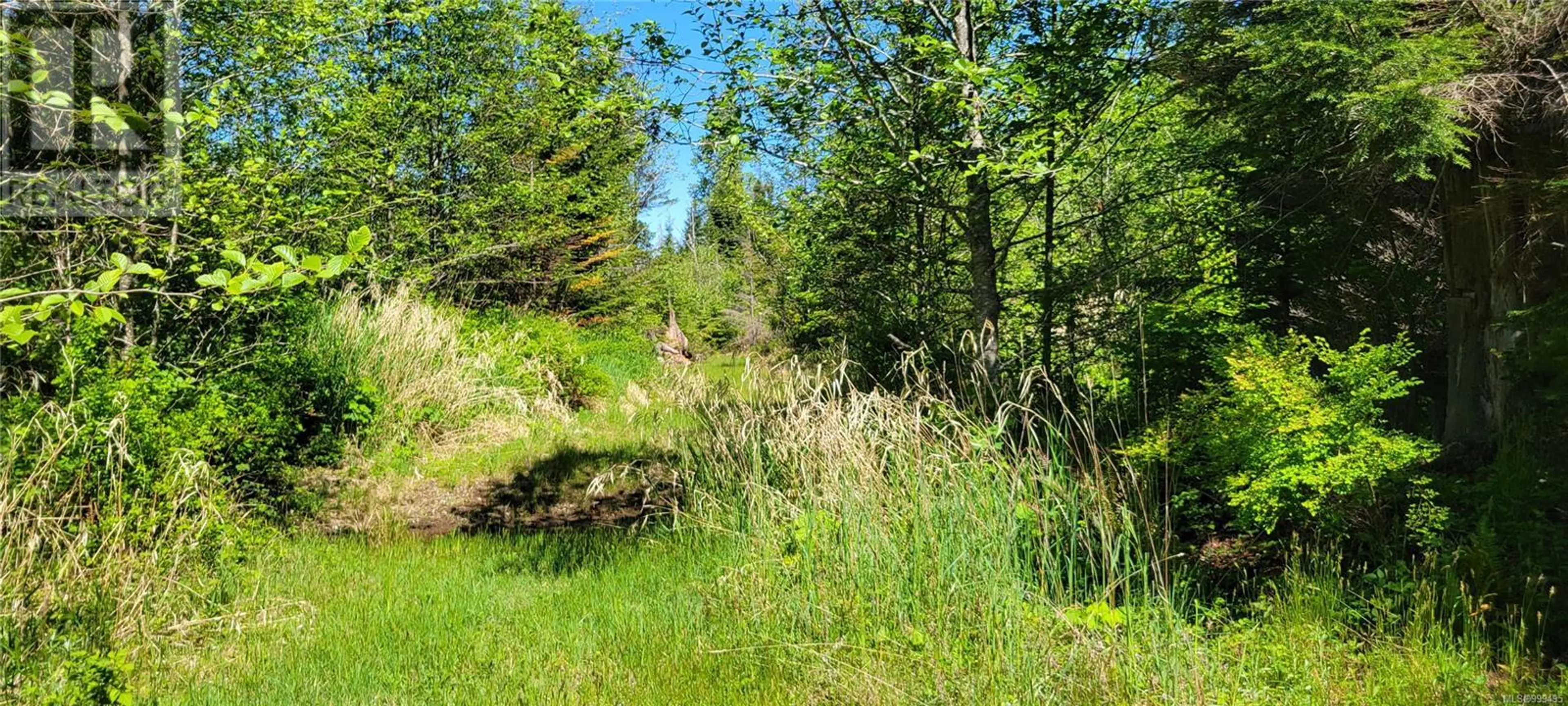 #SL 3 4275 SOUTH ISLAND HWY - Image 10