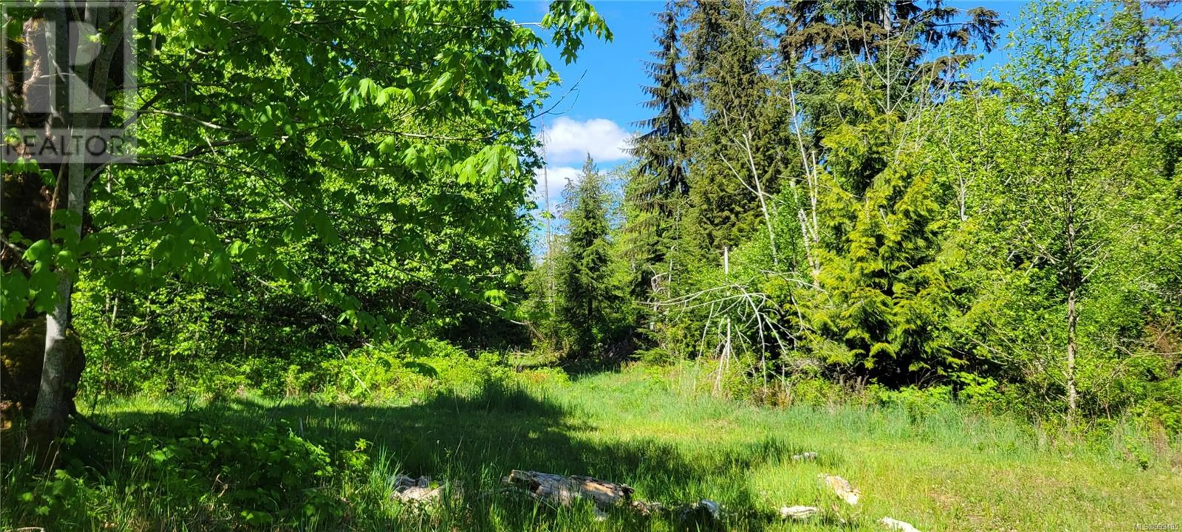 #SL 3 4275 SOUTH ISLAND HWY - Image 6