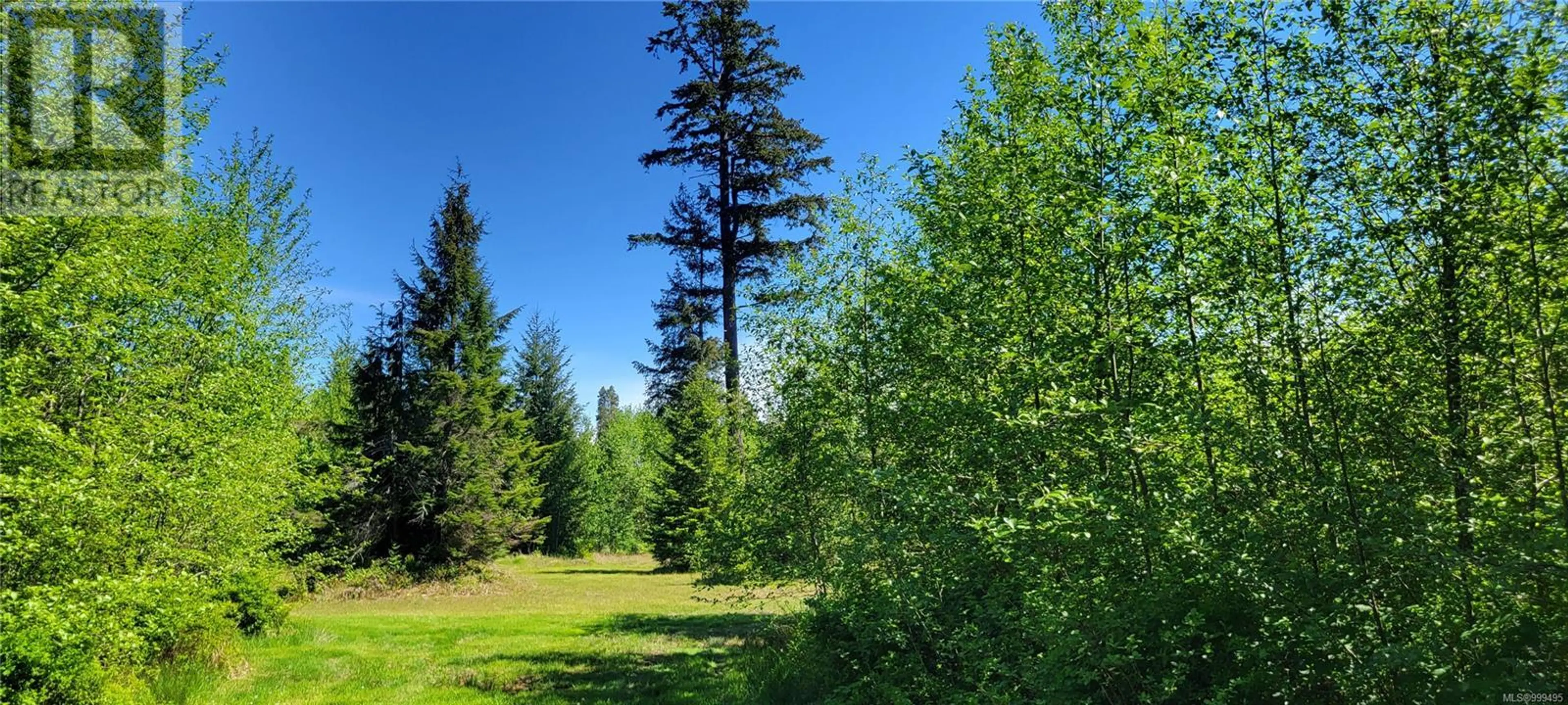 #SL 3 4275 SOUTH ISLAND HWY - Image 7