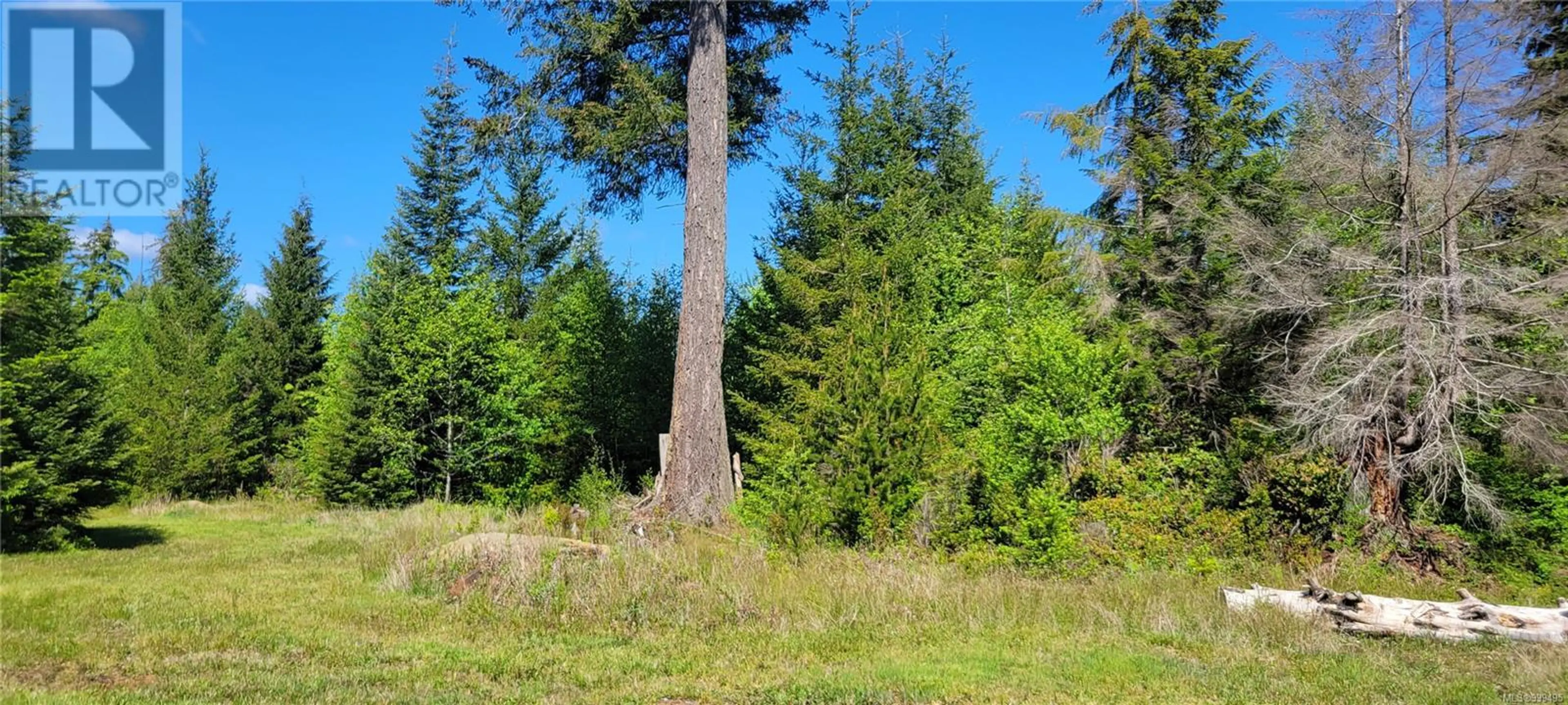 #SL 3 4275 SOUTH ISLAND HWY - Image 12