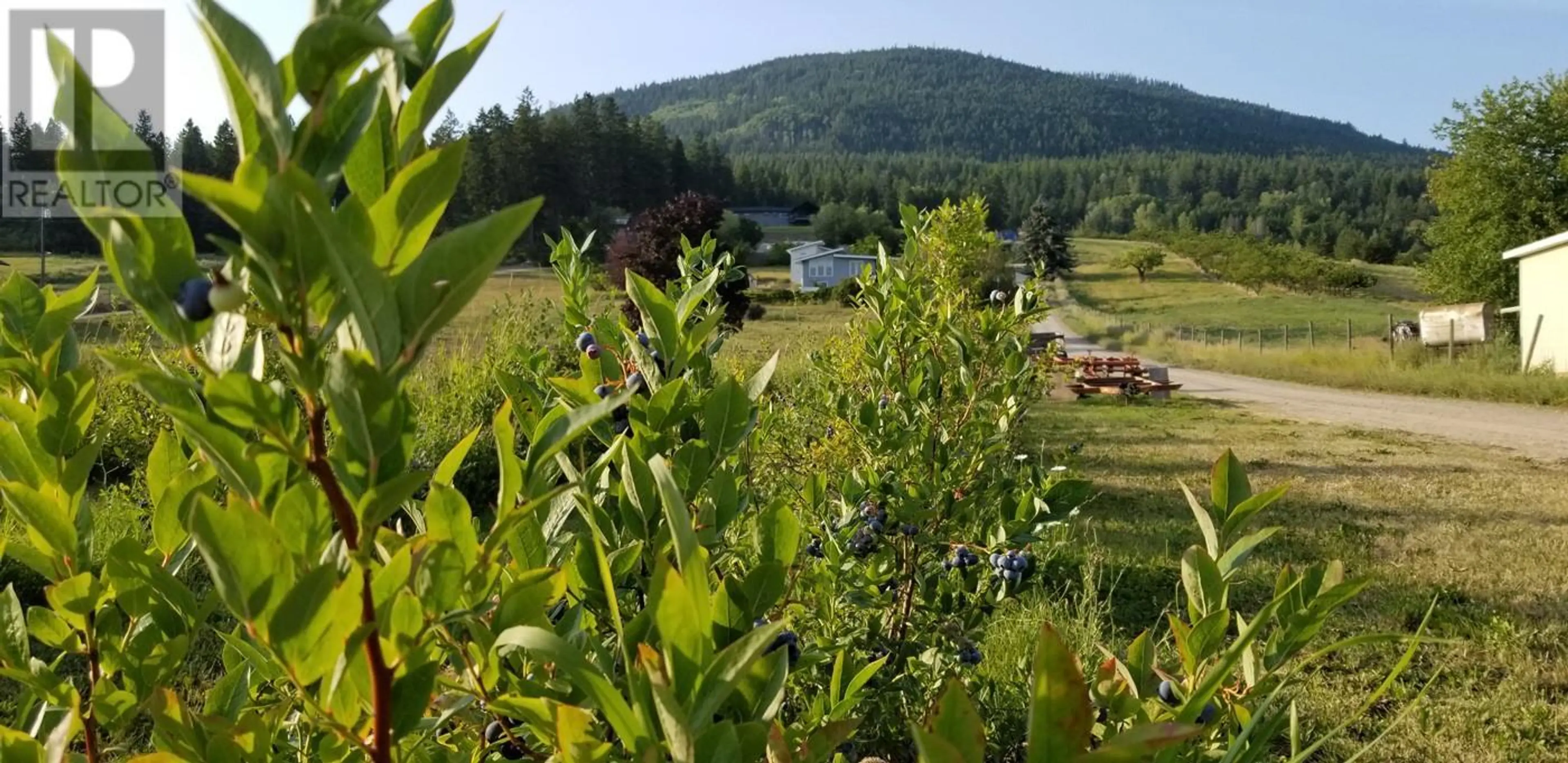 Property at 2918 HIGHWAY 3, Erickson, BC