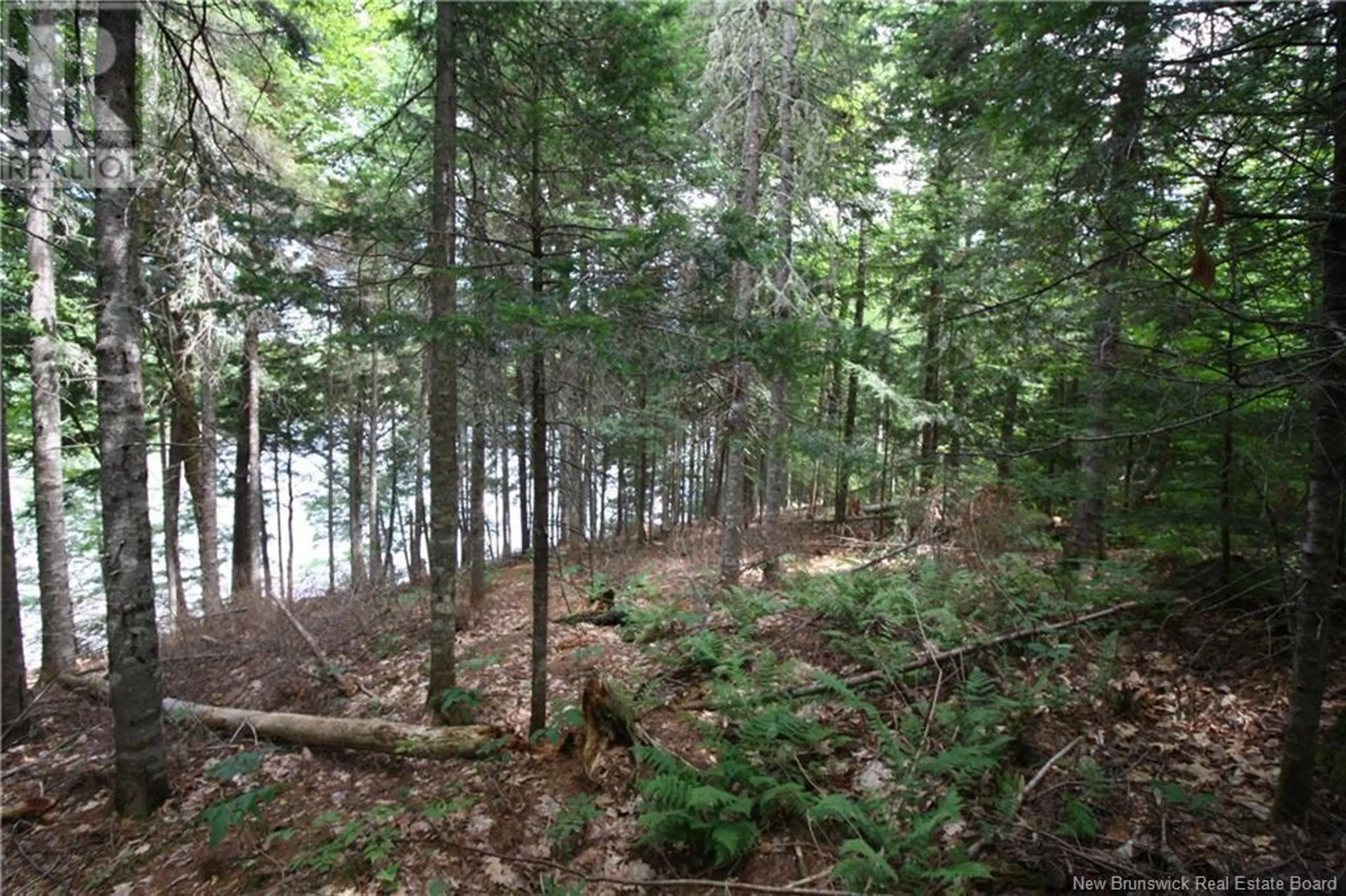 15-59 BASS RIVER POINT ROUTE - Image 3