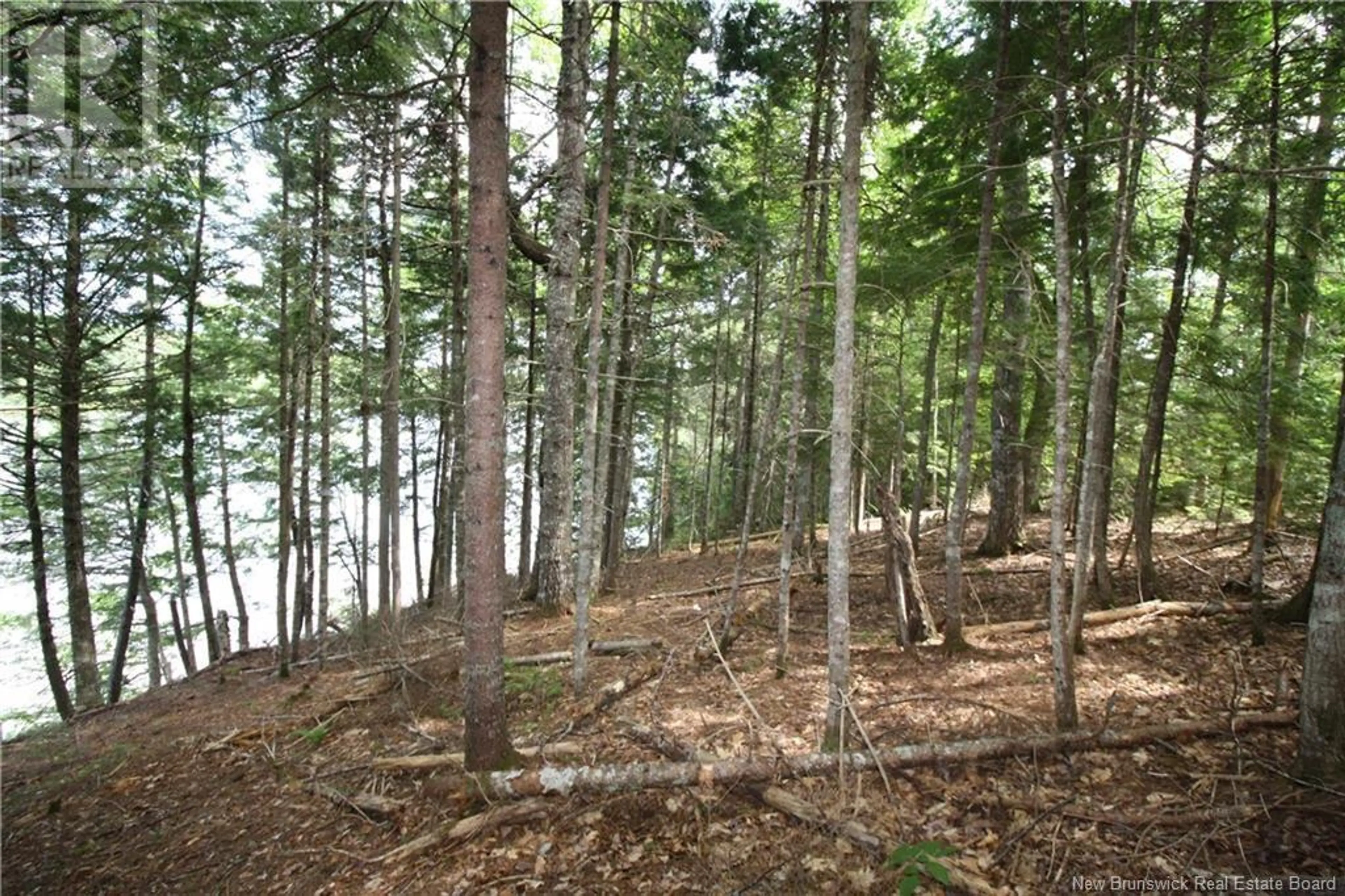 15-59 BASS RIVER POINT ROUTE - Image 6